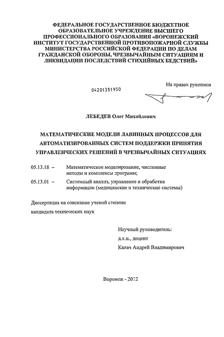 Математические модели лавинных процессов для автоматизированных систем поддержки принятия управленческих решений в чрезвычайных ситуациях