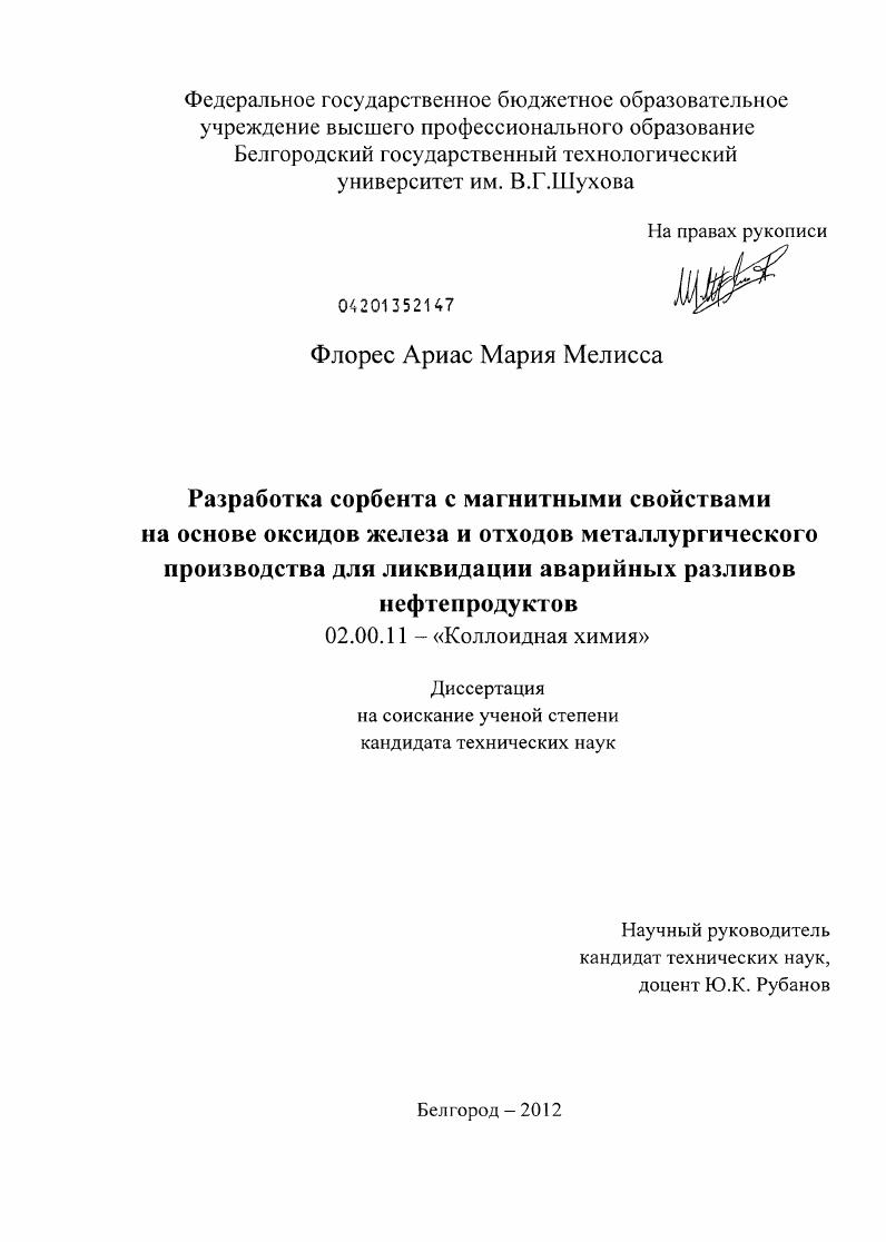 Разработка сорбента с магнитными свойствами на основе оксидов железа и отходов металлургического производства для ликвидации аварийных разливов нефтепродуктов
