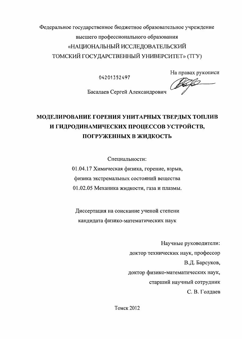 скачать диссертацию Моделирование горения унитарных твердых топлив и гидродинамических процессов устройств, погруженных в жидкость Моделирование горения унитарных твердых топлив и гидродинамических процессов устройств, погруженных в жидкость