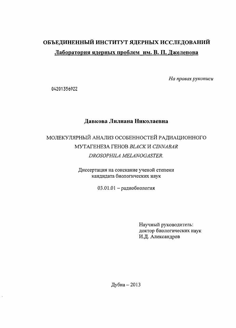 Молекулярный анализ особенностей радиационного мутагенеза генов black и cinnabar Drosophila melanogaster