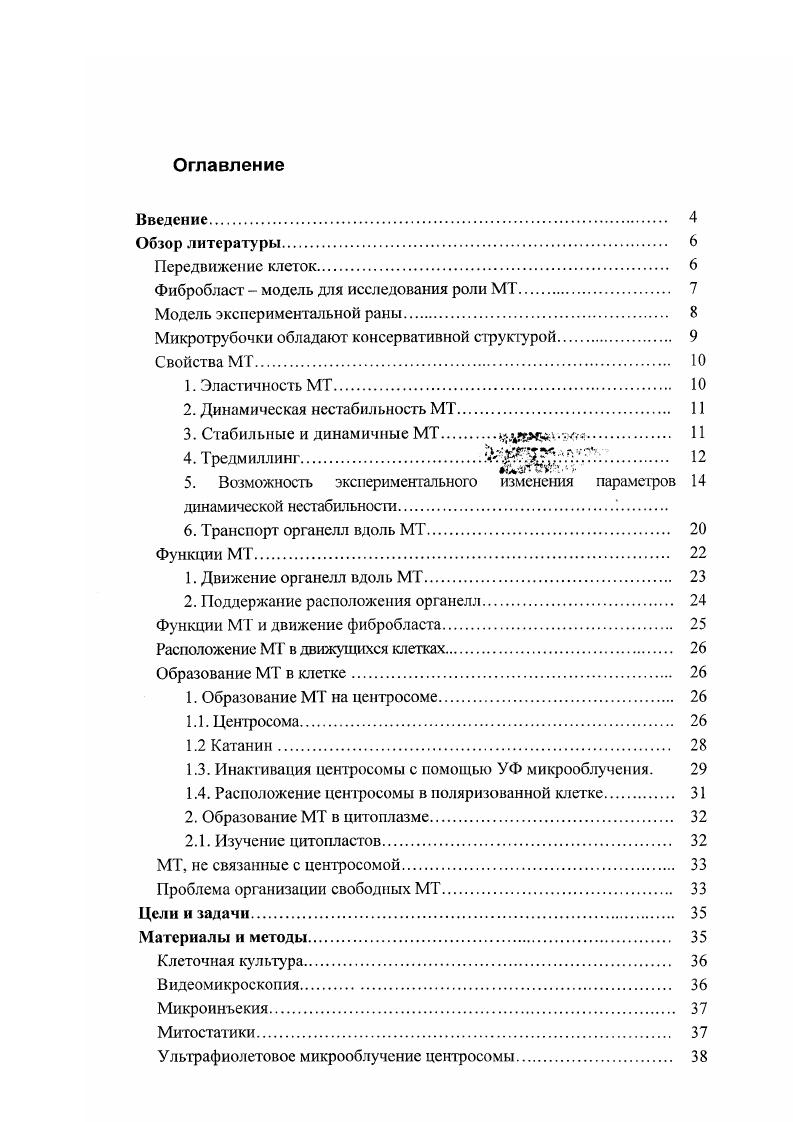 "Фибробласт  модель для исследования роли МТ 