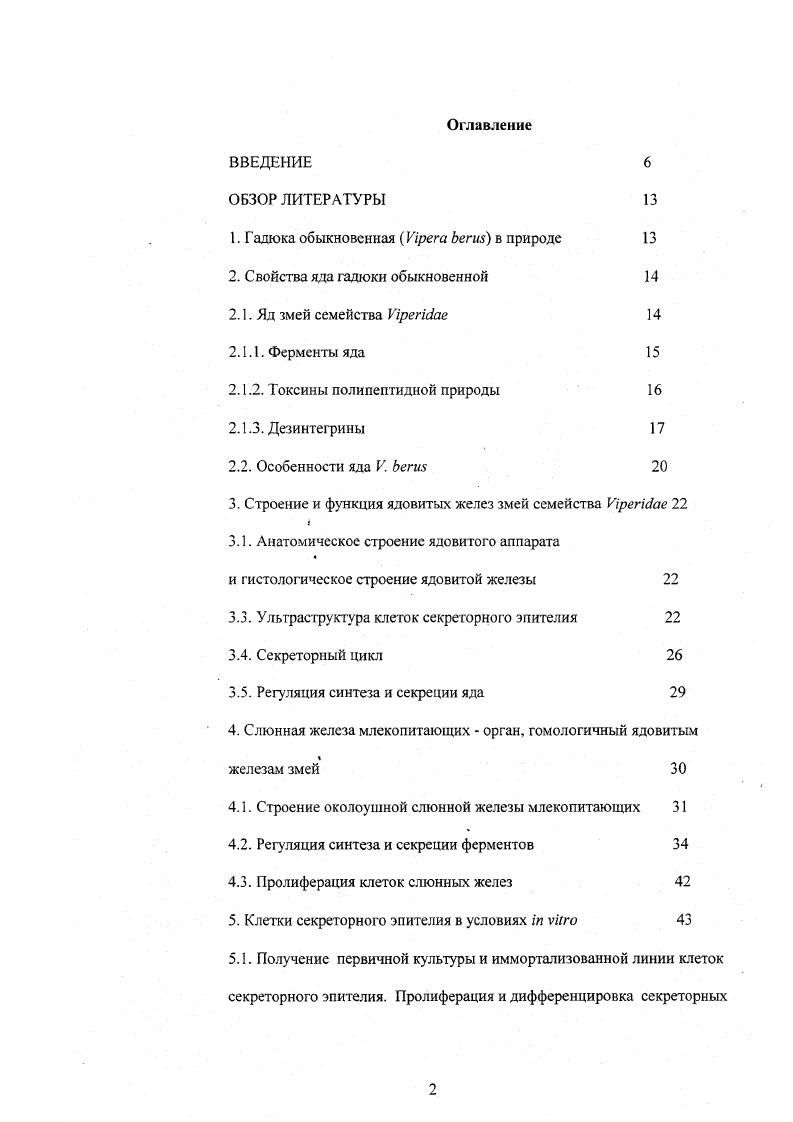 "1. Гадюка обыкновенная Vi в природе 