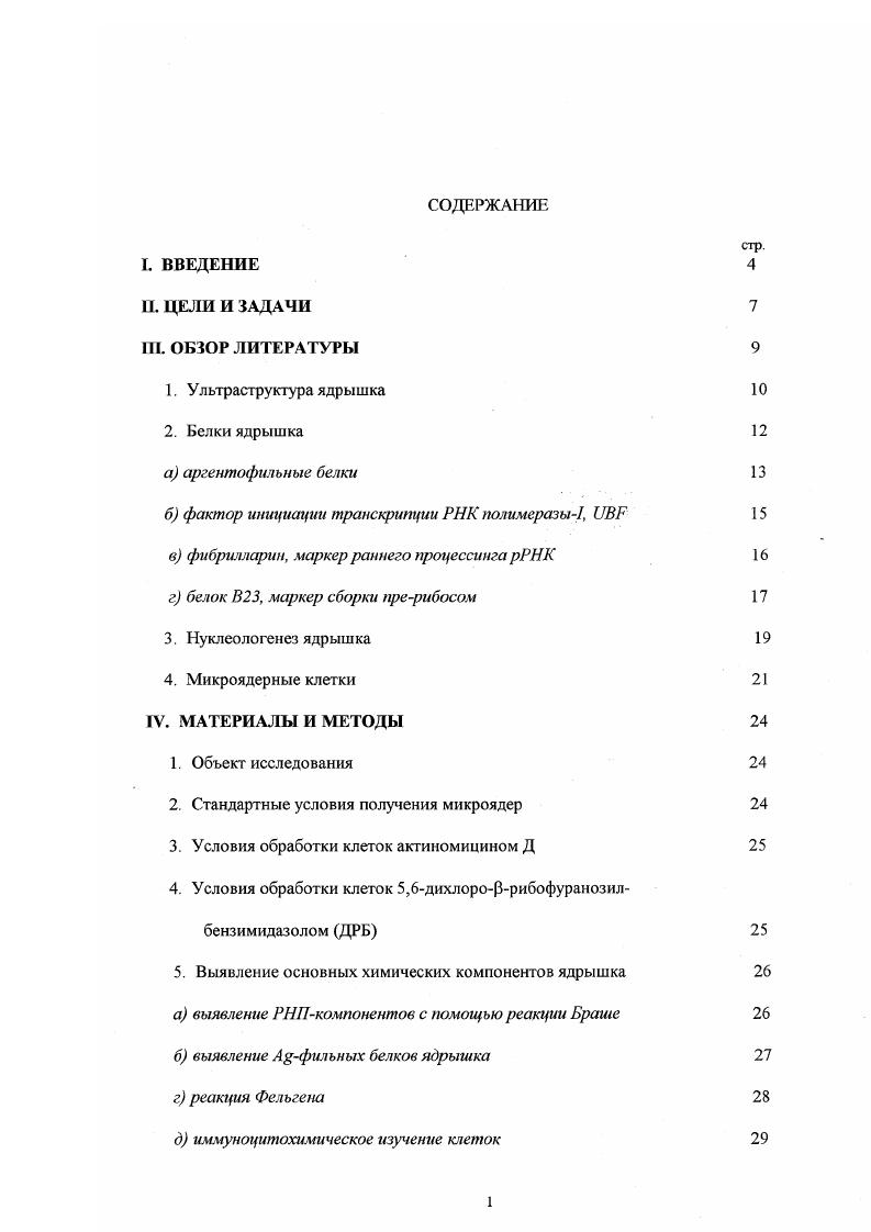 "б фактор инициации транскрипции РНК полимеразы1, ЦБР 