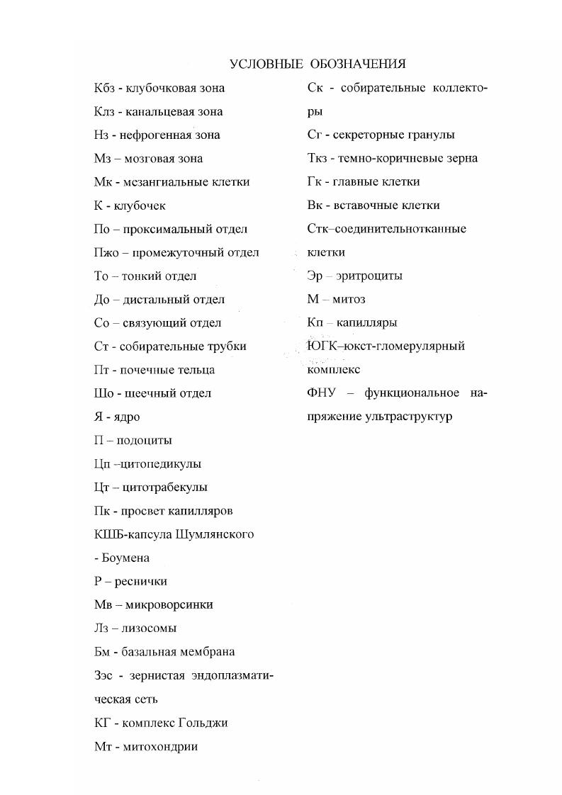 "1.1 Особенности строения почек позвоночных животных 