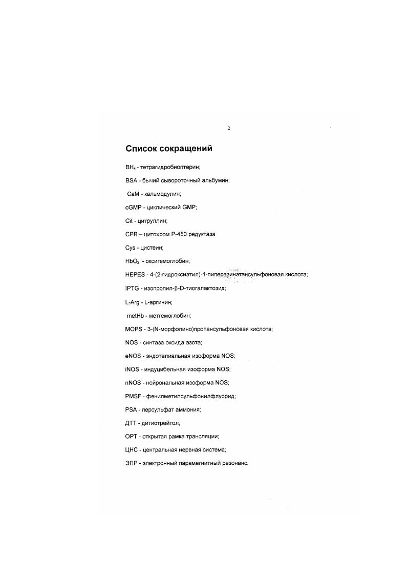 "ЭПР электронный парамагнитный резонанс. Генотип использованных штаммов . Одним из самых выдающихся открытий в биохимии за последнее десятилетие является установление важной роли малой молекулы 0 в регуляции многих биохимических процессов в организме. С этого времени опубликовано огромное количество работ, посвященных биохимическим, физиологическим и фармакологическим эффектам, вызываемым 0. Эндогенный оксид азота является нейротрансмиттером, вазодилятатором и цитотоксическим агентом . Избыточное образование 0 обуславливает ряд патофизиологических процессов, таких как ишемическсе повреждение мозга, гиперэлыезия, воспалительные и аутоиммунные заболевания, артриты. В ранних обзорах, посвященных 0. Интерес к 0 со стороны ученых самых разных специальностей чрезвычайно велик. Нашумевшая Виагра лишь один из первых заметных результатов работы исследователей в этом направлении . Эндогенный 0 образуется в результате окисления аргинина, осуществляемого ферментом синтззой ЕС 1 . В настоящее время известно, что ферменты этого семейства различаются как по тканевой локализации, так и по механизмам регуляции их активности . Идентифицировано шесть кофакторов , последний из которых был найден лишь в г через десять лет после открытия и описания фермента Тем не менее, до сих пор нет полной ясности в понимании механизмов ферментативного катализа образования 0. В настоящее время одним из лимитирующих факторов изучения механизмов функционирования фермента является малая доступность очищенных препаратов . Вследствие низкого уровня экспрессии синтаэы в тканях организма большую проблему представляет выделение фермента 8 активной форме в количествах, достаточных для его структурнофункциональной характеристики, изучения свойств и механизмов регуляции активности. Весьма актуальными, таким образом, становятся попытки создания эффективных систем экспрессии рекомбинантных синтаз, позволяющих преодолеть подобные затруднения. Целью данной работы являлось создание высокоэффективной системы гетерологической экспрессии активной индуцибельной изоформы синтазы оксида азота из макрофагов мыши в клетках . Разработана оригинальная схема гетерологической экспрессии индуцибельной изоформы синтазы оксида азота из макрофагов мыши в клетках . Получены количественные характеристики уровня экспрессии i. Показано, что относительное количество синтезируемого бактериальными клетками фермента, а также его удельная активность не ниже, чем в аналогичных работах коллег из США, опубликованных ранее. Разработанная и успешно апробированная впервые в России эффективная система экспрессии позволяет осуществлять исследования по изучению структурнофункциональных свойств нативных и мутантных форм i. С помощью этой бактериальной системы экспрессии возможна наработка функционально активной синтазы в препаративных количествах и при небольших затратах. Обнаружен полиморфизм гена, кодирующего кальмодулин в ооцитах лягушки X vi. В процессе выполнения диссертационной работы разработана принципиально новая схема сушки белковых гелей, которая не требует ни специального оборудования, ни дорогостоящих реактивов и может быть рекомендована к использованию в тех лабораториях, где это оборудование отсутствует. Диссертационная работа состоит из введения, 7 глав обзора литературы, главы Материалы и методы исследования, 5 глав раздела Результаты исследования и их обсуждение, выводов и списка цитируемой литературы, включающего 0 источников. Работа изложена на страницах машинописного текста, содержит рисунков и 3 таблицы. 