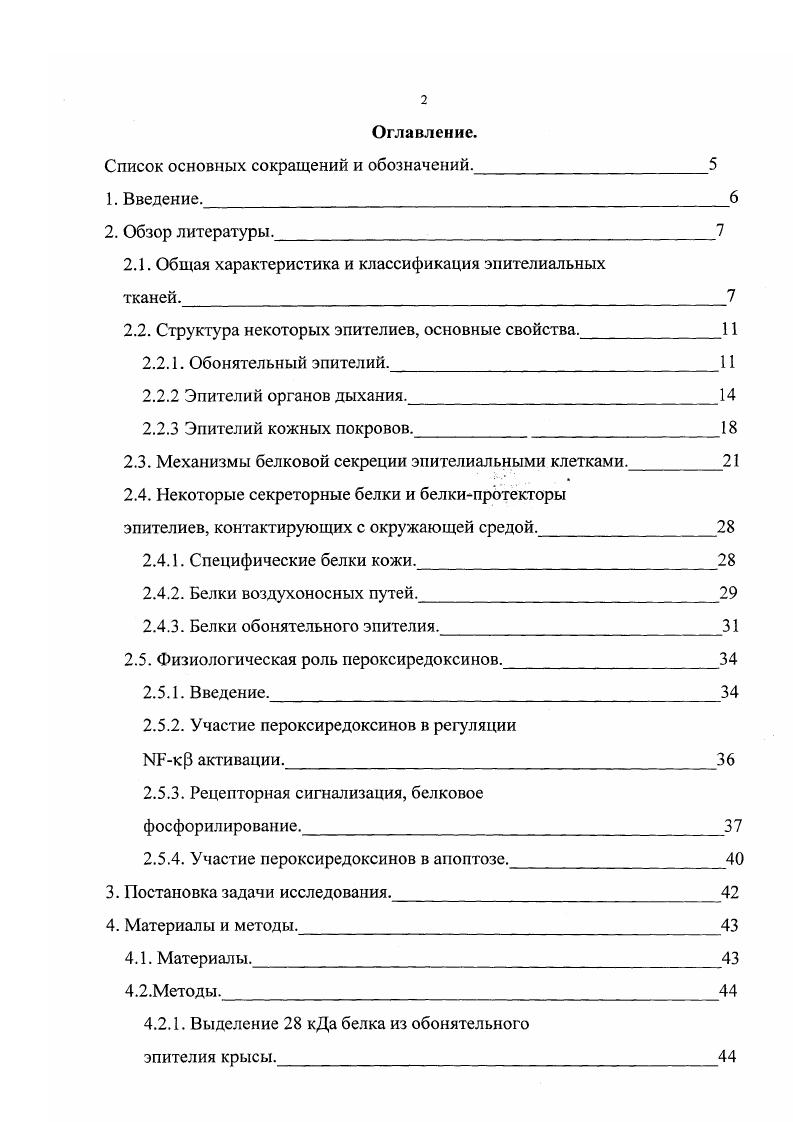 "Физиологическая роль пероксиредоксинов. Введение. ЫБкР активации. Участие пероксиредоксинов в апопгозе. Постановка задачи исследования. Материалы и методы. Материалы. Методы . Выделение кДа белка из обонятельного эпителия крысы. Да белка. Световая иммуногистохимия. Электронная микроскопия. Трансплантация ткани обонятельного эпителия новорожденных крыс в переднюю камеру глаза. I i гибридизация. Синтез аффинной колонки. Измерение каталазной активности. Измерение глутатион пероксидазной активности. Измерение глутаминсинтетазной активности. Определение протекторных свойств кДа белка. Определение цитотоксичности кДа. Да белка на пролиферацию Т лимфоцитов. Результаты исследования и обсуждение. Тканевая специфичность кДа белка. I i гибридизация кДа белка в тканях крысы. Да белку экстрактов обонятельного эпителия. Пероксидазная активность кДа белка. Т лимфоцитов. Другие возможные функции кДа белка. Заключение. Выводы. Список цитируемой литературы. Введение. Некоторые эпителиальные ткани организма, такие как обонятельная выстилка, ткани респираторного эпителия и некоторые другие, непосредственно контактируют с окружающей средой. Клетки этих тканей покрыты слизью, которая является первым барьером между ними и атмосферой и, фактически, обеспечивает нормальное функционирование клеток эпителия. Через слизь осуществляется транспорт многих важных для организма веществ например, кислорода в респираторных тканях, пахучих стимулов в обонятельной выстилке и т. Одновременно через слизь могут поступать и многие вещества, которые являются токсичными для клеток эпителия. В этом случае на первый план выдвигаются системы, нейтрализующие действие таких веществ. Эти системы интенсивно исследуются и к настоящему времени показана роль некоторых ее компонентов. В частности, в обонятельном эпителии идентифицирован ряд трансформационных ферментов, включая некоторые ферментыантиоксиданты. Однако до полной картины еще далеко и постоянно открываются все новые ферменты, участвующие в нейтрализации токсических веществ в эпителиальных тканях. Недавно в лаборатории биофизики рецепции Института биологической физики РАН из слизи обонятельной выстилки крысы были выделены белки, которые являются мажорными среди водорастворимых белков слизи кДа белок и кДа белок. Очень высокое содержание данных белков в обонятельной выстилке от всех водорастворимых белков предполагает их важное участие в функционировании клеток в данной ткани. Проведенные в лаборатории предварительные исследования некоторых свойств кДа белка указывают на то, что он может участвовать в защите клеток обонятельного эпителия от повреждений, вызванных активными формами кислорода. Настоящая работа посвящена выявлению физиологической роли кДа белка как в обонятельной выстилке, так и в других тканях животного, и определение его места в общей системе защиты клеток эпителиальных тканей. Такого рода работы предполагают комплексный подход и должны включать в себя поиск гомологов данного белка с целью определения возможной функции, выявление субстратов и кофакторов для кДа белка, определение его локализации в различных тканях животного и места его синтеза, исследования по функционированию ткани при дефиците данного белка, место кДа белка в общей антиоксидантной системе и, наконец, связь кДабелка с другими секреторными белками эпителиальных тканей. Обзор литературы. Общая характеристика и классификация эпителиальных тканей. Эпителиальные ткани получили свое название от двух греческих слов эпи над и теле сосочек. Впервые этот термин был применен Рюишем, который назвал эпителием ткань, расположенную над сосочками соединительной ткани, т. Позднее в группу эпителиальных тканей стали относить и другие пограничные ткани, а затем и железы. Эпителиальные ткани строятся клетками, называемыми эпителиоцитами. Общие морфологические и функциональные признаки эпителия, отличающие его от других тканей следующие. Эпителий это пограничная барьерная ткань, которая отделяет организм от внешней или внутренней среды и одновременно осуществляет с ним связь. 