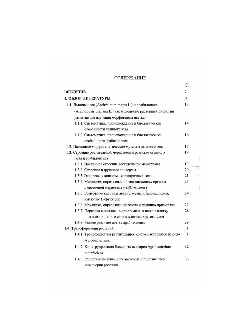 "1.1. Львиный зев ЛпЬггЫпит та Ь. и арабидопснс 