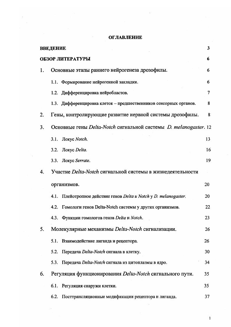 "1. Основные этапы раннего нейрогенеза дрозофилы. 