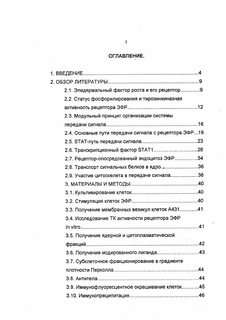 "К сожалению, не было проведено количественного сравнения ТК активности интернализованного рецептора ЗФР и рецептора на плазматической мембране, которое принципиально важно для понимания роли интернализации. Необходимо отметить, что процесс интернализации детально изучен на клетках А1, поэтому мы выбрали их в качестве объекта исследования. В последние годы начали появляться прямые доказательства участия интернализованных рецепторов в проведении сигнала. Была показана важность интернализации рецептора ЭФР для активации фосфатидилинозитол3киназы I3 и 1. Vii . X, , . Это демонстрирует актуальность и перспективность таких исследований для широкого спектра мишеней рецептора ЭФР. Складывается картина, согласно которой интернализация рецепторов факторов роста необходима для активации и контроля специфических сигнальных путей. Подобные исследования пока не проводились в отношении белков семейства i iv ii группы латентных цитоплазматических транскрипционных факторов, которые активируются рецепторами цитокинов и факторов роста, транспортируются в ядро и активируют транскрипцию ряда генов , . Причем фосфорилированная форма 1 обнаруживается в ядре уже через 2 мин после начала стимуляции клеток ЭФР. Транспорт в ядро 1 обеспечивается взаимодействием с кариоферином 1 i . Остается недостаточно изученным ряд вопросов, связанных с функционированием белков, и, в частности, 1. Так, остается неясной возможность активации 1 интернализованным рецептором ЭФР, механизм транспорта активированного 1 до ядерной поры, локализация взаимодействия 1 и кариоферинов, обеспечивающих транспорт белков в ядро, роль активированного 1 в цитоплазме и динамика инактивации 1 в ядре. Особый интерес представляет проблема участия цитоскелета клетки в процессе передачи сигнала. Общеизвестно, что рецепторопосредованный эндоцитоз зависит от системы микротрубочек. Установлено, что некоторые важные сигналпередающие белки, такие как МАРК, 2, , РКС связаны с цитоскелетными структурами . Картина существенно усложнилась после открытия семейства аз , и , которые не только регулируют перестройки цитоскелета, но и участвуют в активации I3 и МАР киназ , , . В последнее время также появились данные об участии цитоскелета в транспорте сигнальных молекул в ядро. Было показано, что транспорт в ядро протеинкиназы С и 1. Арнаутов, Никольский, . В связи со всем сказанным выше, в настоящей работе представлялось актуальным изучить ЭФРзависимую передачу сигнала через транскрипционный фактор 1 и участие в этом процессе интернализованного рецептора ЭФР. Методом фосфорилирования синтетического субстрата I vi нам удалось продемонстрировать, что в клетках А1 интернализованный рецептор ЭФР имеет такую же тирозинкиназную активность, как и рецептор, находящийся на плазматической мембране. Это свидетельствует о возможности проведения сигнала через интернализованный рецептор ЭФР. Используя метод субклеточного фракционирования мы изучили динамику ЭФРзависимого перераспределения 1 меаду ядерной и цитоплазматической фракциями клеток А1. А1. Удаление ЭФР после стимуляции клеток вызывает дефосфорилирование 1 в цитоплазме и ядре в интервале от мин до 1 часа и уменьшение содержания 1 в ядре до контрольного уровня. Мы исследовали возможность активации фактора 1 интернализованным рецептором ЭФР. Используя метод субклеточного фракционирования органелл в градиенте Перколла и коиммунопреципитацию нами впервые продемонстрировано ЭФРзависимое взаимодействие 1 и интернализованного рецептора, находящегося в составе ранних эндосом. Иммунофлуоресцентными и биохимическими методами была изучена зависимость транспорта 1 в ядро от целостности цитоскелета клетки. Нами впервые показано, что ЭФРиндуцированный транспорт активированного 1 в ядро тормозится при разрушении микротрубочек под действием нокодазола, но не зависит от системы микрофиламентов. При этом обработка нокодазолом не препятствует образованию комплекса между фосфорилированным 1 и кариоферином а, и наблюдается накопление этого комплекса в цитоплазме. На основании этого сделано предположение о том, что взаимодействие комплекса Iкариоферин а с цитоскелетом может быть существенным элементом функционирования механизма транспорта 1 из цитоплазмы в ядро. 