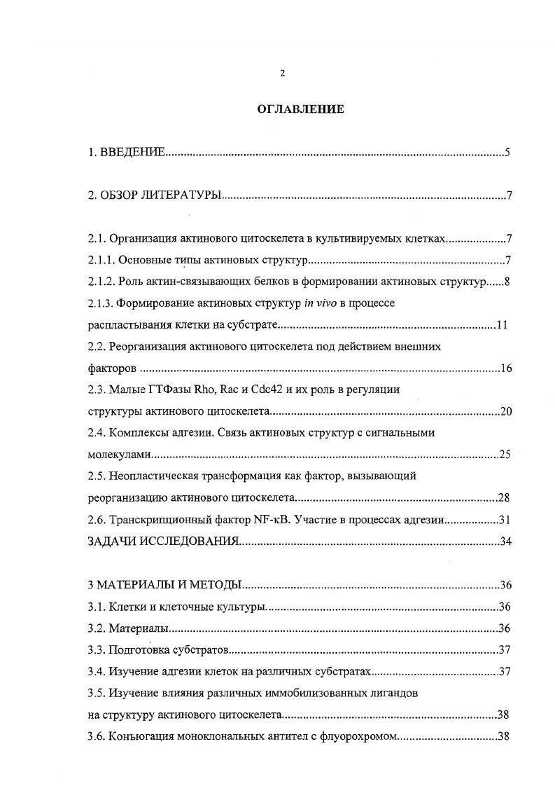 "белков, включая талин, винкулин, актинин, паксилин, тензин, зуксин и киназу фокальных контактов i, i, . Через плотные контакты осуществляются межклеточные взаимодействия. Они образованы кластерами кадеринов, взаимодействующих со стороны цитоплазмы с винкулином, аактинином, филамином, кате ни нами, и белками эзрином, радиксином, моезином i . Многие из этих белков содержат фосфоинозитолсвязывающий участок и, повидимому, являются мишенями сигнальных молекул. Таким образом, характер организации системы микрофиламентов зависит от композиции вовлеченных актинсвязывающих белков, что может обеспечивать специфичность изменений в этой системе в ответ на определенное лигандрецепторное взаимодействие. В то же время точные представления о составе актинсвязывающих белков и о последовательности их вовлечения в процессе формирования определенных актиновых структур в настоящее время отсутствуют. Наиболее хорошо изучено образование комплексов фокальной адгезии. Процесс формирования актинового цитоскелета удобно рассмотреть на примере распластывания фибробласта, в котором представлены все вышеперечисленные типы актиновых структур. Этот процесс осуществляется путем перехода актина из мономерного актин в полимерное актин состояние. При микроиньекции в клетку актина, коньюгированного с флуоресцеином, он включается прежде всего на периферии ламеллоподии. Несколько позднее в фокальных контактах у края клетки и, значительно позже, в стрессфибриллах и арках на дорзальной поверхности клетки. Включение актина в ламеллоподии тесно связано с образованием мембранных выростов, дающих начало раффлам. Предполагается, что формирующиеся таким образом филаменты используются в образовании других более сложных актиновых структур . Рис. Актиновый цитоскелет распластанного фибробласта цит. Схематическое изображение различных типов актиновых структур, представленных в распластанном на субстрате фибробласте. I филоподии, Р. В. периферические пучки, . На рисунке 1 представлено схематическое изображение актинового цитоскелета распластывающейся клетки. Распластывание осуществляется путем роста ламеллоподии. В зависимости от типа клетки и от субстрата в ламелле могут быть представлены в различном соотношении однородная сеть актиновых филаментов в сочетании с различным количеством радиально ориентированных пучков, являющихся основой филоподий или микроворсинок. Эти структуры образуются в результате слияния актиновых филаментов в ламелле, осуществляющегося на основе латерального перемещения филаментов с вовлечением различных акгинсвязывающих белков. В ходе распластывания в ламелле формируются также стресс фибриллы, которые обычно тянутся в вентральной части клетки от одного фокального ко1гтакта, расположенного у края клетки, к другому в перинуклеарной области. 