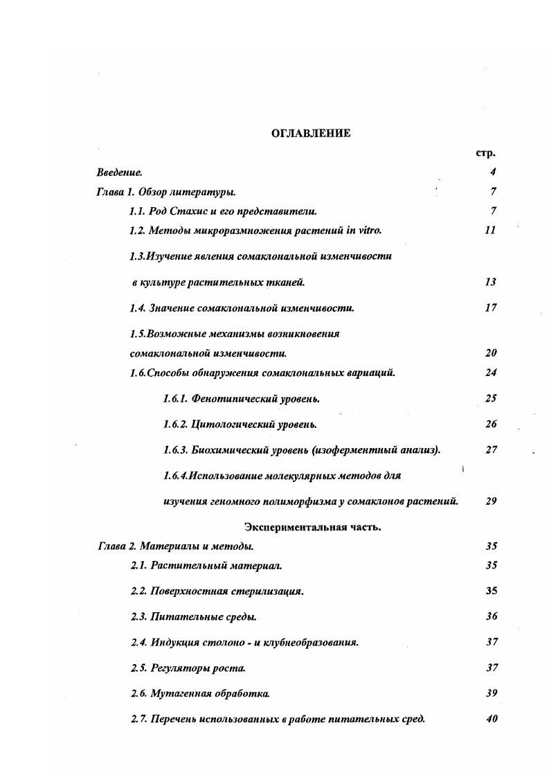 "1.1. Род Стахис и его представители. 