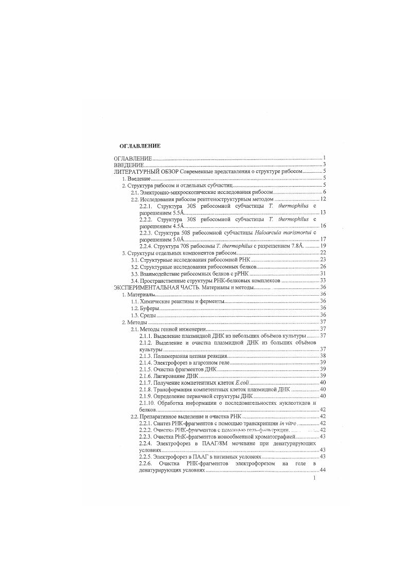 "ЛИТЕРАТУРНЫЙ ОБЗОР Современные представления о структуре рибосом.