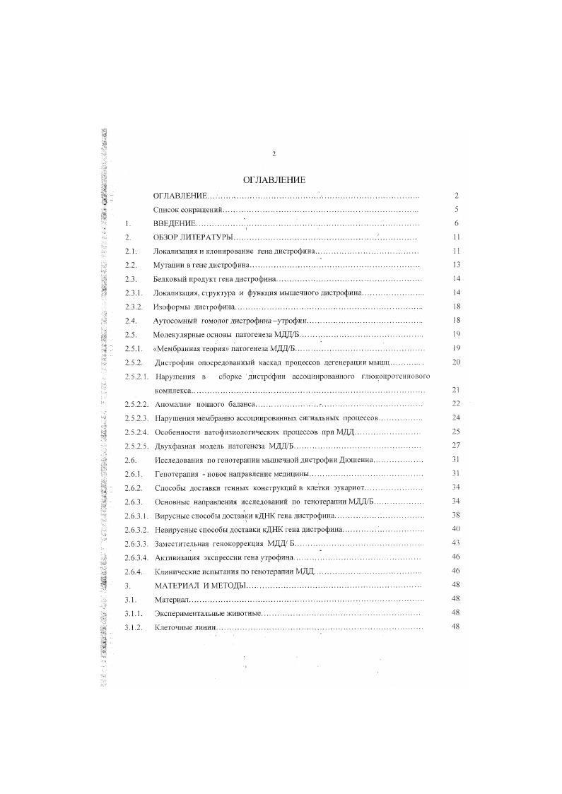 "2.1. Локализация и клонирование Гена дисгрофина II
