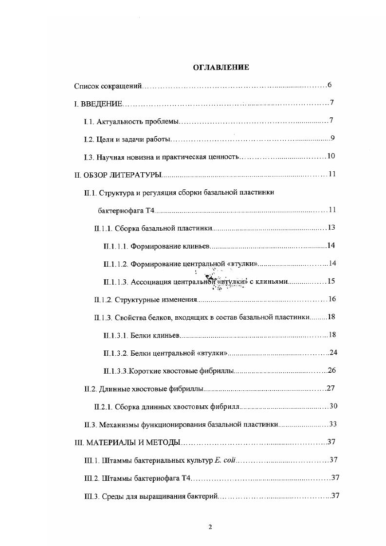 "III. III. III КДСпектроскопия. IV. РЕЗУЛЬТАТЫ ИССЛЕДОВАНИЙ. IV. IV. Структурный анализ рекомбинатного пг 9. IV. IV. Спектроскопия кругового дихроизма пг9. У.2. У.2. IV. У.3. ЫЛ, 9ЫД7 и 9СА3. У.3. У.4. IV. Изучение свойств мутантов 9СА7 и . IV. ГУ. IV. IV. Стабильность мутантов и Д. V.1. У.2. Структурный анализ пг9. У.З. V.3. Свойства мутантов 9Д, 9КА, 9ЫА7 и 9СА3. У.З. У.З. У.З. V.4. Значение домена для сохранения активной формы белка. V.4. V.5. Подвергается ли пг 9 протеолизу в процессе инфицирования. VI. VII. I. ВВЕДЕНИЕ. Актуальность проблемы. Свойства белков обусловлены особенностями их пространственной организации. Выяснение принципов укладки полипептидной цепи фолдинг в нативную пространсгвенную структуру фолд является одной из центральных проблем современной физикохимической биологии. Причиной многих наследственных заболеваний человека является нарушение укладки полипептидной цепи. Среди них синдром Ларона при мутациях в рецепторе гормона роста 9, болезнь Альцгеймера 8, ретинитный пигментоз 0 и куриная слепота 1 при мутации в гене родопсина и многие другие. Знание механизмов фолцинга viv особенно важно для биотехнологии и развития белковой инженерии при конструировании v молекул с заданными свойствами. Попытки экспрессии в гетерологичных системах многих важных генов, например, при создании вакцинных препаратов против вирусных заболеваний или получении других биологически активных веществ, часто приводят к неправильному сворачиванию полипептидов в клетке и образованию т. Проблема фолдинга белка впервые была сформулирована Мирским и Полингом в х годах 1 Позже Анфинсен 1,3 выдвинул гипотезу о том, что нативная конформация белка отвечает абсолютному минимуму свободной энергии. В последнее Бремя удалось прояснить многие закономерности укладки полипептидной цепи, но проблема все еще далека от решения. В частности, ранее считали, что процесс фолдинга детерминирован исключительно аминокислотной последовательностью белковой молекулы. Однако по мере накопления экспериментальных данных стало ясно, что это сложный процесс, контролируемый на уровнях трансляции и посттрансляционной модификации и с участием белковпомощников, т. Экспериментальные данные указывают, что сворачивание полипептидной цепи и формирование вторичной структуры белка в клетке начинается котрансляционно 1,6,5,6. Однако для образования стабильной нативной структуры синтез полипептидной цепи должен быть завершен 8,,. Нельзя исключать и непосредственный вклад самой рибосомы в котрансляционное сворачивание полипептидной цепи 5. Укладка полипептидной цепи небольших глобулярных белков протекает, как правило, через стадию образования промежуточных состояний, т. Предложена также другая модель раннего интермедиата фолдинга, названная гидрофобным коллапсом ,,7, предполагающая ранний неспецифический коллапс полипептидной цепи с последующим формированием вторичной и третичной структур. Т4 и особенно его базальная пластинка. Она собирается из двух независимых структурных элементов каркаса, образуемого шестью идентичными дугообразными клиньями, и центральной части, т. В обшей сложности в сборке базальной пластинки участвуют более 0 субъединиц различных продуктов генов. В процессе инфицирования клетки базальная пластинка претерпевает глобальную структурную реорганизацию и переходит из состояния шестиугольного диска гексагон в шестилучевую звезду. В результате такой конверсии значительно изменяется как конформация отдельных субъединиц белков, так и харакгер их взаимодействия друг с другом. Наш интерес к пг 9 объясняется тем, что он является ключевым белком, контролирующим реорганизацию базальной пластинки на ранних этапах инфицирования, и выполняет роль триггера Предполагается, что перестройка базальной пластинки инициируется конформационными изменениями пг 9, происходящими на ранних этапах инфицирования клеткихозяина. Цели и задачи работы. Разработка метода получения и очистки рекомбинантного пг 9 для последующей кристаллизации и проведения рентгеноструктурного исследования белка. 