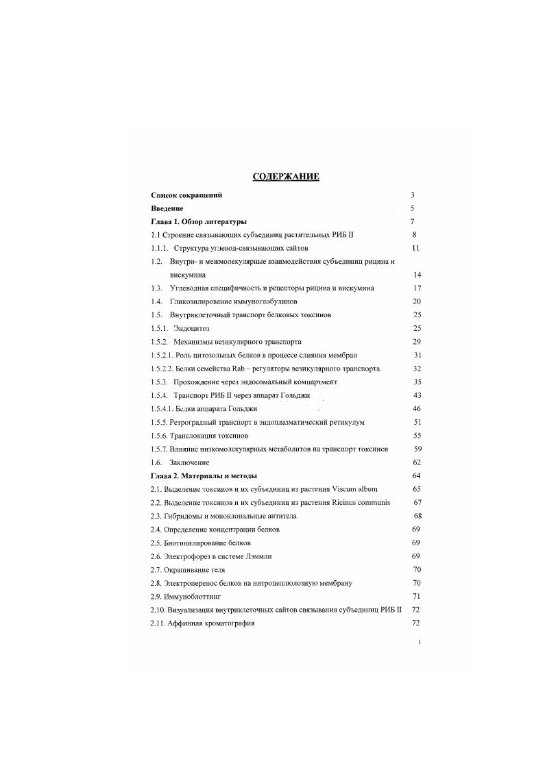 "1.1 Строение связывающих субъединиц растительных РИБ И 