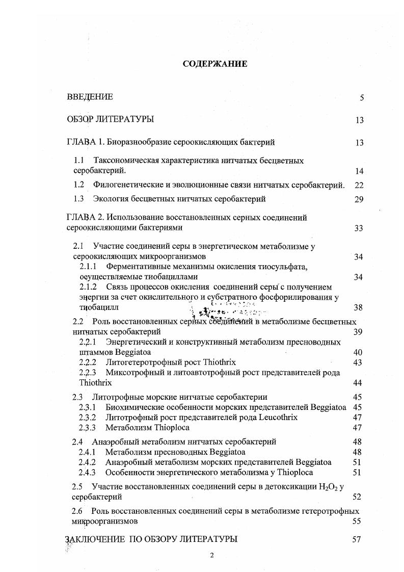 "ГЛАВА 1. Биоразнообразие сероокисляющих бактерий 
