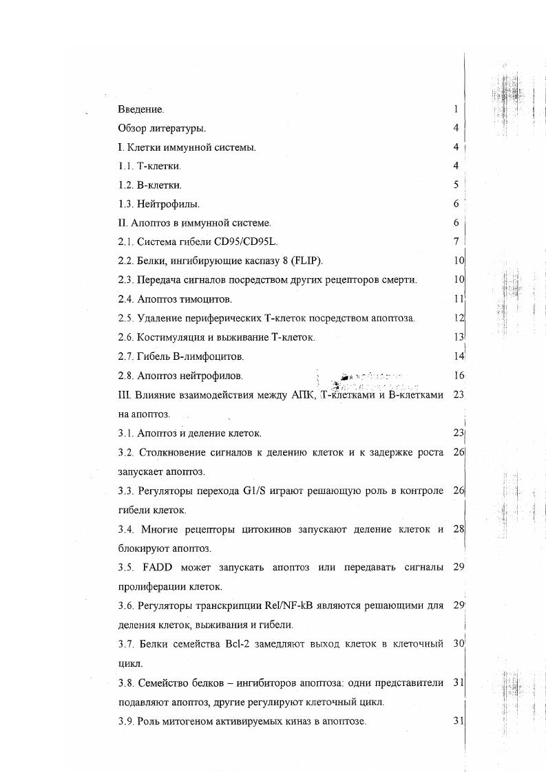 "2.2. Белки, ингибирующие каспазу 8 I.