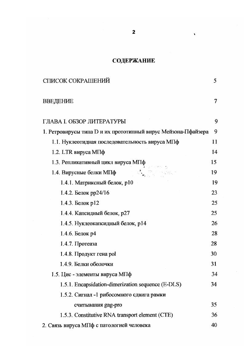 "ГЛАВА II. Трансформация . В настоящее время большое количество экспериментальных работ показало, что формирование злокачественных опухолей человека индуцируется онкогенными вирусами или фрагментами генома. В ряде случаев описана интеграция ДНК онкогенных вирусов в хромосомы человека и продемонстрировано, что это является необходимой стадией канцерогенеза. Известно, что потенциально ЬТО ретровирусов гредставляет собой блок регуляторных элементов, включающий в себя промоторгые, энхансерные последовательности, участки сплайсинга, а также сигналы полиаденилирования. Поэтому включение ДНК таких вирусов в геном человека может индуцироват ь инактивацию генов, в которые произошла интеграция, или же соседних генов. Также возможно и обратное влияние транскрипция индуцируется на интегрированном вирусном элементе и продолжается на соседние гены, тем самим изменяется характер регуляции экспрессии гена. Кроме тот, многие клеточные факторы, входящие в системы регуляции клеточной пролиферации и дифференцировки, способны специфически взаимодействовать с ЬТЯ ретровирусов. Экзогенные ретровирусы типа Э лимфотропные вирусы, выделенные от нескольких видов обезьян и не содержащие онкогенов. Африки ,, у больных лимфоадснопатиями, включая СПИД , недавно у больных с шизофренией , а также известен случай выделения ретровируса типа от больного Вклеточной лимфомой и СПИД . Обнаружение нуклеотидных последовательностей ретровируса типа в лимфоцитах больных Вклеточной лимфомой детей 1 послужило основой настоящего исследования, целью которого является определение участков генома человека, в которые произошла интеграция ДНК данного вируса. В качестве исходного объекта для выполнения работы выбрана ДНК больных Беркиттподобными Вклеточными лимфомами, содержащая вставки генома ретровируса типа МейзонаПфайзера. Определение нуклеотидной последовательности полученных фрагментов ДНК. Компьютерный анализ обнаруженных последовательностей ДНК фрагментов человека с целью определения их функционатьной значимости. ГЛАВА I. Ретровирусы V приобрели особое значение и стали интенсивно изучаться в связи с их вероятной причинной ролью в возникновение опухолей человека и животных. Они широко распространены среди позвоночных, отличаются характерной морфологией, структурой IIгенома, и наличием обратной транскриптазы. Семейство vii включает три подсемейства vii, vii, и ivii. Онковирусы представляют наиболее многочисленное подсемейство Vов и делятся по морфологии вирионов на 3 рода онковирусы типа С. Согласно 5му отчету Международной Комиссии по Таксономии Вирусов г. V делятся на 7 классов vi, i i vi V, ivi, i vi V, vi i vi V, vi, и i В vi ,. Прототипным представителем группы V является вирус МейзонаПфайзера МПф, выделенный в г. В связи с морфологическим сходством и некоторой гомологией нуклеиновых кислот, вирус МПф, исходно был принят как эквивалентный вирус опухолей молочных желез мышей V. Однако все попытки вызвать трансформацию i vi и опухолеобразование i viv с помощью вируса МПф закончились неудачно. 