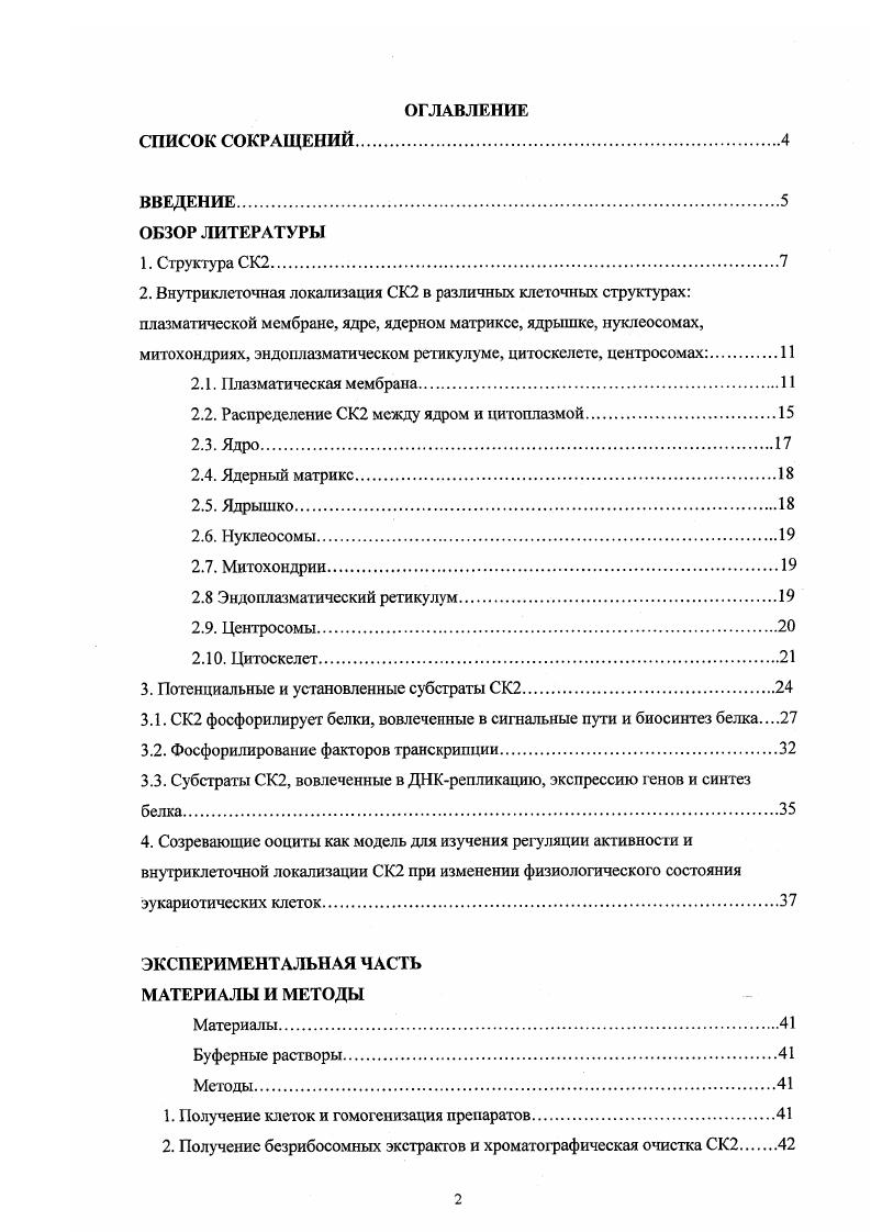 "2.2. Распределение СК2 между ядром и цитоплазмой
