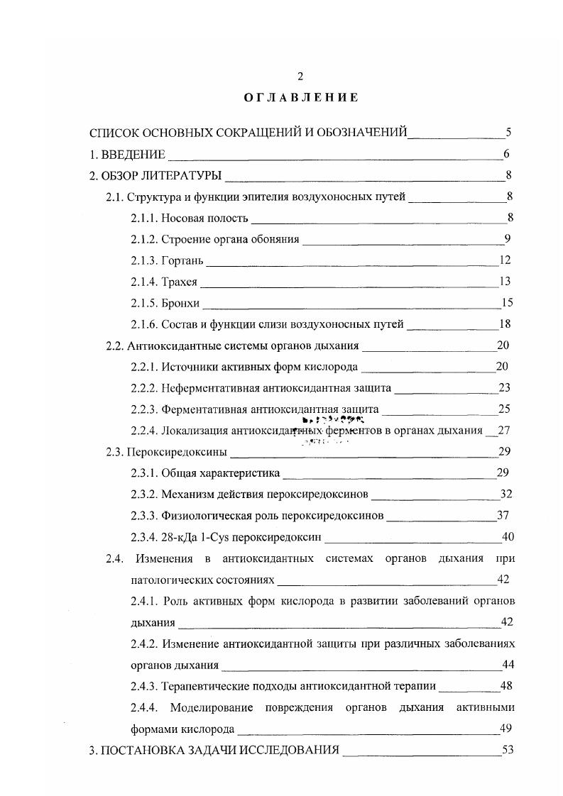 "С другой стороны, развитие воспалительной реакции в органах дыхания запускает процесс миграции лейкоцитов, особенно нейтрофилов, которые могут усиливать окислительный стресс за счт так называемого респираторного взрыва. Повреждение клеток и органелл происходит как результат прямого действия активных форм кислорода или образования перекисей и продуктов их распада. Если данный процесс не контролируется, эта каскадная реакция может приводить к обширному повреждению клеточных мембран и биологических макромолекул. Для предотвращения и восстановления повреждений, вызванных активными формами кислорода, клетки органов дыхания выработали ряд защитных механизмов. Главную роль в предотвращении серьезных метаболических нарушений в клегке выполняют антиоксидантные ферменты супероксиддисмутаза, каталаза и глутатионперокеидаза. Исследования, проводимые в Институте биофизики клетки РАИ в течение последних лет, привели к открытию нового белкаантиоксиданга кДа пероксиредоксина. I.V. Пешенко И. В. и др. I6. Данный белок принадлежит к недавно открытому семейству тиолспецифических антиоксидантов или пероксиредоксинов и является первым идентифицированным секреторным псроксиредоксином. В нативном состоянии он представляет собой димер, образованный, повидимому, за счт водородных связей. Биохимические исследования показали, что кДа 1 пероксиредоксин в присутствии некоторых тиолов обладает способностью нейтрализовать как органические, так и неорганические перекиси Андреева С. Г. и др. Его протекторная активност, определяется, в основном, пероксидазной активностью, которая проявляется только в присутствии дитиотреитола Новослов В. И. и др. Максимальное содержание кДа пероксиредоксина наблюдается в тканях, непосредственно контактирующих с атмосферой обонятельный эпителий, трахея, бронхи, эпидермис кожи, как было показано ранее vv . V. . Данная работа является продолжением исследований, проводимых в лаборатории биофизики рецепции ИБК РАН и посвящена исследованию антиоксидантных систем эпителиальных тканей крысы в норме и при различных патологических состояниях, а также изучению вклада кДа 1 пероксиредоксина в общую антиоксидантную систему органов дыхания. Для решения этих задач предполагалась разработка экспериментальных моделей повреждения органов дыхания па животных, позволяющих исследовать динамику экспрессии антиоксидантов, а также изучать динамику изменения функциональной активности нейтрофилов и структурных повреждений в эпителиальной ткани. Кроме того, в задачу нашей работы входило исследование возможности проведения коррекции нарушений, вызванных в эпителии верхних дыхательных путей крыс. Система полостей и трубок, которая приводит окружающий воздух ко всем частям легкого, образует воздухоносные пути дыхательной системы. К ним относят носовую полость, носоглотку, гортань, грахею и бронхи. В воздухоносных путях по мере продвижения воздуха происходит очищение, увлажнение, приближение температуры вдыхаемого воздуха к температуре тела, рецепция газовых, температурных и механических раздражителей, регуляция объема вдыхаемого воздуха, а также секреция биологически активных веществ . Мотавкин П. А. и Гельцер Б. И., . Гортань также принимает участие в звукообразовании. В ней различают преддверие и собственно носовую полость, включающую дыхательную и обонятельную области. Преддверие образовано полостью, расположенной иод хрящевой частью носа. Оно выстлано многослойным плоским эпителием, который является продолжением эпителиального покрова кожи. Под эпителием в соединительнотканном слое находятся многочисленные волосяные фолликулы, а также отдельные потовые и сальные железы. Волосы носовой полости задерживают пылевые частицы из вдыхаемого воздуха. В более глубоких частях преддверия волосы становятся короче и количество их уменьшается. Внутренняя поверхность собственно носовой полости в дыхательной части покрыта слизистой оболочкой, состоящей из многорядного призматического реснитчатого эпителия и соединительнотканной собственной пластинки Афанасьев Ю. И. и Юрина , . 