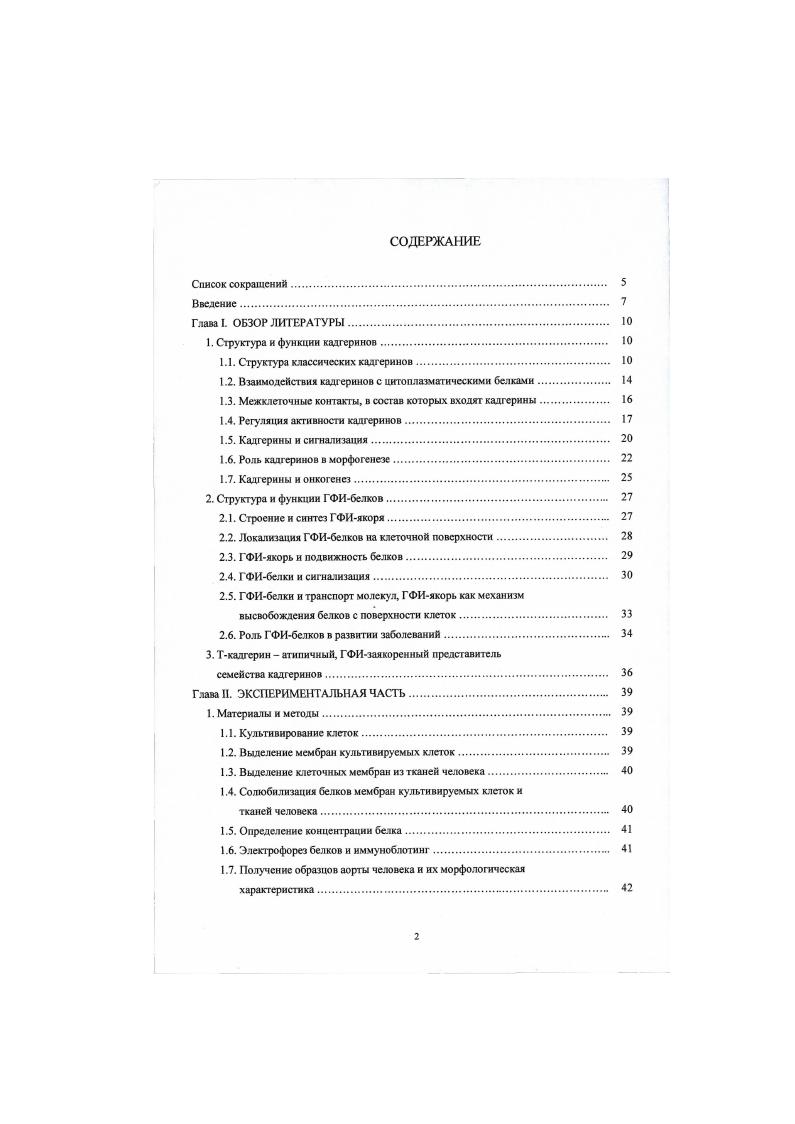 "1. Структура и функции кадгерннов. 