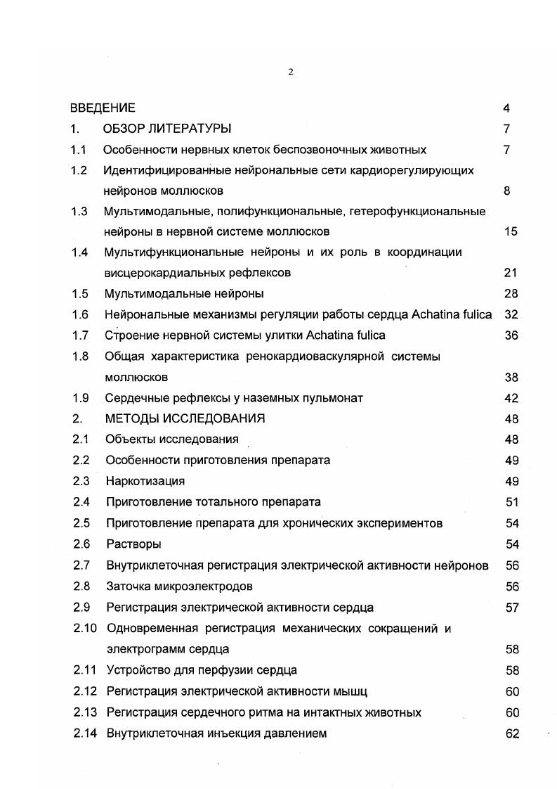 "1.1 Особенности нервных клеток беспозвоночных животных 
