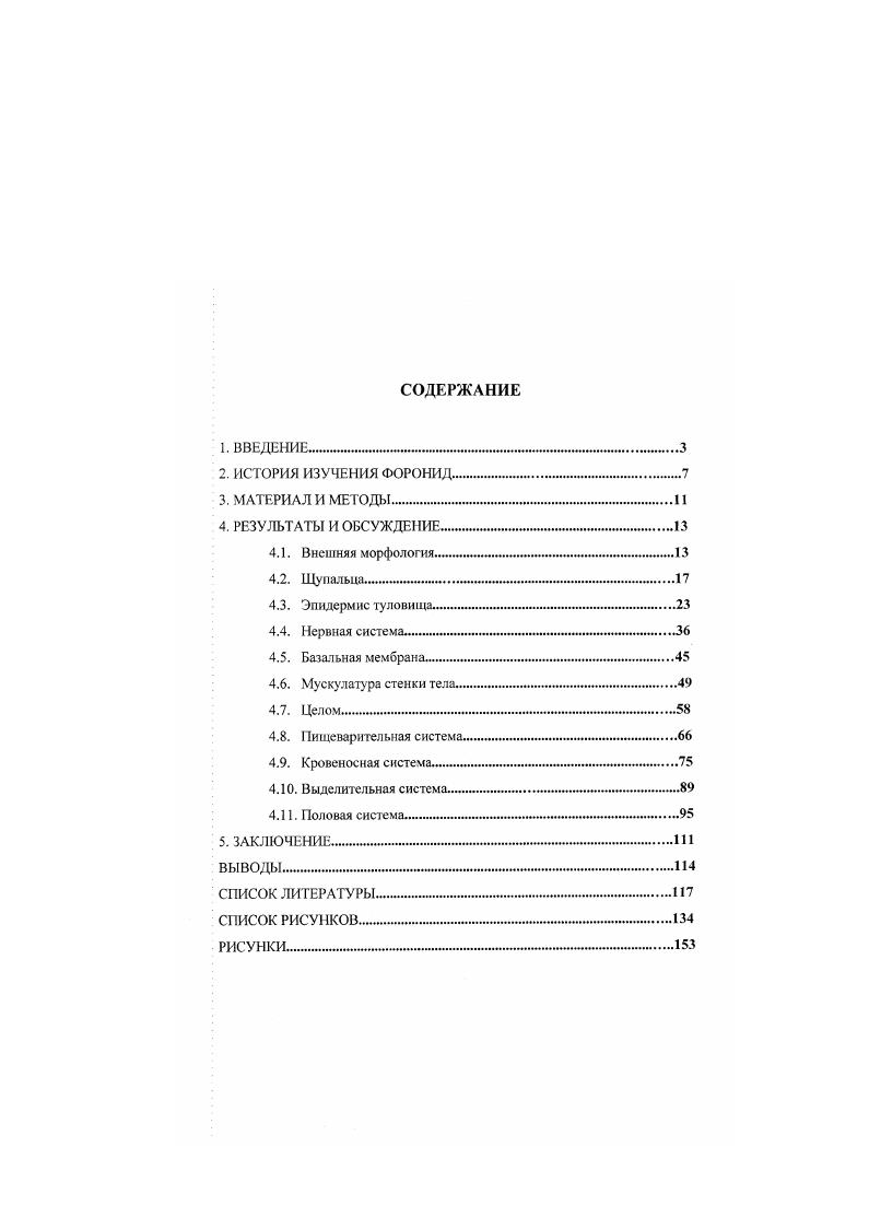 "4.6. Мускулатура стенки тела.