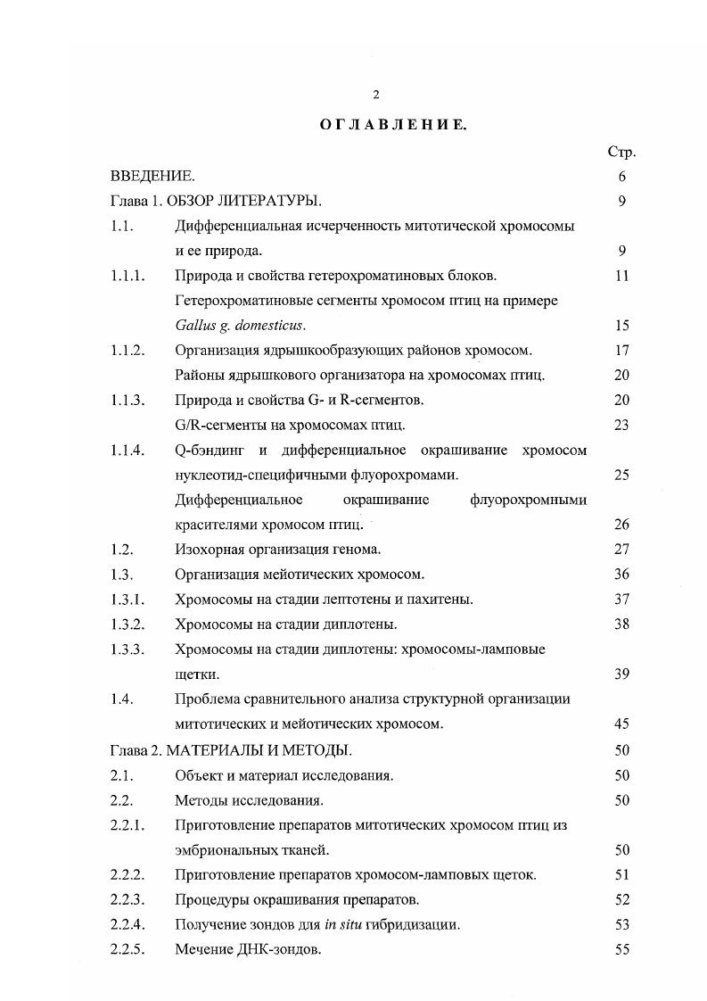 "1.1. Дифференциальная исчерченность митотической хромосомы