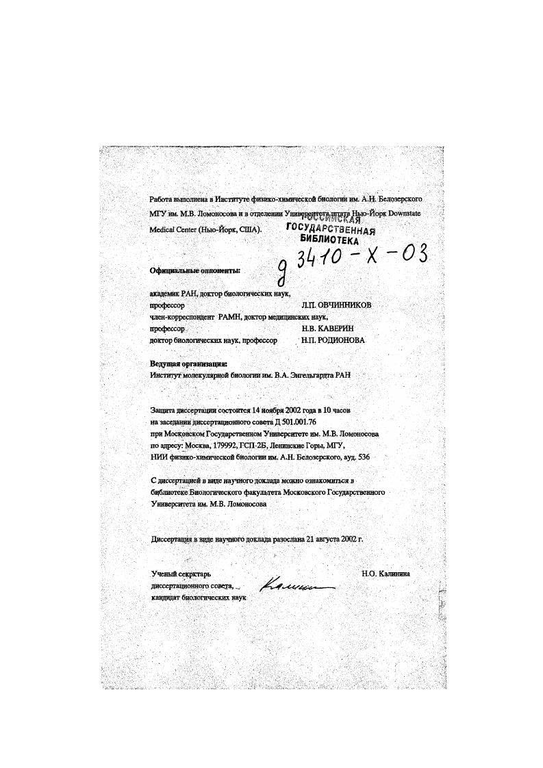 "Во второй части работы проведено исследование молекулярного механизма внутренней инициации трансляции РНК вирусов экцефаломиокардита, Тсйлсра и ящура семейство пикорнавирусов, вирусов гепатита С и классической лихорадки свиней семейство флавмвирусов и вируса паралича сверчка семейство пикориаi вирусов насекомых. Показано, что все три группы вирусов используют различные механизмы внутренней инициации. Механизм инициации трансляции пикорнавирусных РНК включает специфическое взаимодействие участка 5нетранслируемой области вирусных РНК с гапщиаторным фактором I4, в то время как механизм инициации трансляции РНК вирусов гепатита С, классической лихорадки свиней и паралича сверчка основан на специфическом взаимодействии их ретранслируемых областей с рибосомной субчастицсй, при этом инициация трансляции на РНК вируса паралича сверчка вообще не требует участия какихлибо иницнаторных факторов. Результаты работы имеют фундаментальное значение для изучения механизма белкового синтеза в клетках эукариот, а данные исследования механизма внутренней инпцации трансляции РНК вируса гепатита С в настоящее время используются несколькими фармацевтическими компаниями в сотрудничестве с автором данной работы для разработки новых ангивирусных препаратов. Апробация работы. Материалы диссертации были доложены автором на следующих симпозиумах и конференциях Симпозиумы i i , , , , , i i iiv i i , , Конференция Ii i i i iii i, , , Vi Международный Симпозиум по вирусному гепатиту Мадрид, Испания, , V Международная Конференция по вирусному гепатиту и родственным вирусам Венеция, Италия, , X i i ivi Маттината, Италия, , Семинар Европейских МолекулярноБиологических Лабораторий Гейдельберг, Германн, , i i Ньюпорт, США, и на заседании открытого совместного семинара отдела взаимодействия вируса с клеткой Научноисследовательского Института Физикохимической биологии нм. А.Н. Белозерского МГУ и лаборатории биохимии вирусов Института Полиомиелита и Вирусных Энцефалитов РАМН, Москва, . Публикации. По теме диссертации опубликовано статей и более тезисов. Механизм образования инициагорных комплексов в процессе 5концевой инициации трансляция на эукариотических мРНК. М.Козак , . В соответствии с этой моделью Рис. На первой стации гстсротримсрныи эукариотический иипциаторный фактор I2 состоящий из а, Р и у субъединиц с молекулярным весом , и кД, соответственно связывает ГТФ и инициаторную мстионилтРНК i, образуя тройственный комплекс I2Ii, который в свою очередь вместе с мультисубъединнчным инициаторным фактором I3 субъединиц с молекулярным весом от до 0 кД взаимодействует с рибосомой субчастяцей, образуя прекннциаторнын комплекс. Далее прсиницнаторкый комплекс связывается с 5концевым участком мРНК, вторичная структура которого предварительно расплавляется при участии факторов инициации I4, I4 и I4. Д имеет специфическое сродство к кэпструктуре т7метилуанозин, связанный с 5концевым нуклеотидом трифосфатной связью, расположенной на 5кощс мРНК. Д связывает две другие субъединицы I4, а также мультисубъединичный I3 и, таким образом, играет центральную координирующую роль. I4 кД x РНКхелихаза и РНКзависимая АТФаза, существующая в клетке в двух формах в свободном виде и в составе 4. Хеликазная активность свободной формы усиливается в присутствии СК4В кД. Три инициаторных фактора I4, I4 и I4 кооперативно связываются с 5концевым участком мРНК и осуществляют локальное расплетание ее вторичной струхтуры, позволяющее комплексу связаться с этим районом мРНК, вероятнее всего, посредством взаимодействия I3, входящего в состав комплекса, с 4 субъединицей 4. Сканирующая модель постулирует, что после связывания с 5кокцсвым участком мРНК преинициаторный комплекс начинает ЛТФэависимое движение вдоль мРНК до встречи с кодоном, находящимся в благоприятном нуклеотидном окружении и обычно расположенном на расстоянии 0 нуклеотидов от 5конца матрицы. В результате анализа первичной структуры эукариотических мРНК был выведен оптимальный контекст кодона при этом наиболее важным является присутствие А в 3 и в 4 положениях Ко2ак. Считается также, что наличие шпильки на расстоянии около нуклеотидов к Зконцу от кодона усиливает узнавание его как инициаторного , . ЫР4В. Рнс. Схема образования 8 иницнаторвого комплекса. Ряс. Схема оергмпй анализа. 