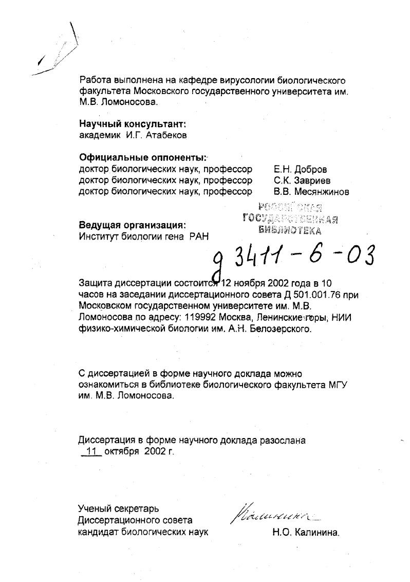 "Впервые продемонстрировано, что молекулы ТБ1 ХВК, селективно связываясь с БО на одном из концов вириона ХВК, переводят РНК в составе вириона в транслируемую форму. Впервые обнаружено, что фосфорилирование белка оболочки в составе вириона ХВК i i индуцирует конформационные изменения в структуре БО ХВК, вследствие чего РНК ХВК в составе вириона приобретает способность транслироваться. Доказано, что сайты фосфорилирования БО ХВК в составе 8Ириона находятся в концевом районе молекулы БО ХВК. БО вируса и образование комплекса с ТБ1. При этом фосфорилирование и взаимодействие с ТБ1 осуществляются в пределах различных областей молекулы БО ХВК. Впервые показано, что РНК в составе комплекса ТБ1ХВК становится доступной для рибосом не путем котрансляционного раздевания, а вследствие быстрой и кооперативной разборки нуклеокапсида, индуцируемой рибосомами на начальном этапе трансляции РНК ХВК, даже в условиях подавления синтеза вирусспецифических белков циклогекси МИДОМ. Передача индуцированного транспортным белком сигнала линейной дестабилизации вдоль полярно ориентированного спирального нуклеокапсида, приводящего к кооперативной трансляционной разборке частиц ХВК, представляет собой неизвестный до сих пор способ регуляции трансляции вирусных РНК. Практическая ценность работы. Результаты работы могут быть использованы в практике научных исследований в области молекулярной биологии и вирусологии. Полученные данные, можно применить при создании экспрессирующих конструкций в биотехнологии и получении трансгенных растений. Материалы работы используются при чтении курсов лекций на Биологическом факультете МГУ им. М.В. Апробация работы. Материалы диссертации докладывались и обсуждались на российских и международных конференциях и симпозиумах в том числе на XII Международном вирусологическом конгрессе Париж, XIII конгрессе Федерации европейских обществ физиологов растений Греция, Международной конференции в честь А. С.Спирина Синтез белков Пущино, Международном симпозиуме Сигнальные системы растительной клетки Москва, на семинаре Европейского биохимического общества Vi Ivi Греция, ой Ежегодной конференции Американского вирусологического общества Канада, Международной конференции Фундаментальные и прикладные проблемы фитопатологии Ялта, Курсах ФЕБО Геном вирусов растений структура и экспрессия Рига, . СОДЕРЖАНИЕ РАБОТЫ. Транспортные белки тобамовирусое образуют с РНК рибонуклеопротеидный комплекс и подавляют трансляцию РНК в составе комплекса. Вирус табачной мозаики ВТМ представитель тобамовирусое, палочковидных вирусов растений длина 0 нм диаметр нм. Геномная плюс РНК состоит из нуклеотидов и содержит, по крайней мере, четыре открытые рамки трансляции ОРТ. Геном ВТМ кэпирован, а Зпроксимапьная нетранслируемая последовательность включает около 0 нуклеотидов и формирует тРНКподобную структуру. Белки 6К и 3К являются компонентами вирусной репликазы транслируются непосредственно с геномной РНК. Два других белка транспортный белок ТБ К и белок оболочки БО . К транслируются с субгеномных РНК МевЫ е1 а. Мо а . Более десяти лет назад были получены первые результаты, свидетельствующие о том, что в зараженных ВТМ растениях присутствуют информосомоподобные рибонуклеопротеидные РНП комплексы Эогокбоу е а. После обнаружения РНКсвязывающих свойств у ТБ ВТМ СОУбку а. РНП комплексы могут быть образованы кооперативно связанными с вирусной РНК молекулами ТБ. Сйогеку а. РНП комплексы представляют собой транспортные формы, и РНК в их составе должна выводиться из цикла репликации и переключаться на выполнение транспортной функции. Мы предположили, что это может быть достигнуто, если ТБ окажется способным препятствовать трансляции РНК, благодаря своей РНКсвязывающей активности. Влияние транспортных белков на трансляцию РНК в бесклеточных белоксинтезирующих системах ББС из лизата ретикулоцитов кролика ЛРК или экстракта зародышей пшеницы ЭЗП, исследовали, добавляя экспрессированные в бактериях ТБ в трансляционную систему либо в свободном состоянии, либо в форме предварительно сформированных РНП комплексов. Поскольку связывание транспортных белков с РНК является неспецифическим, те. 