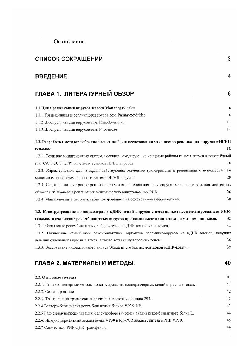 "Краткое описание структуры гиппокампа.