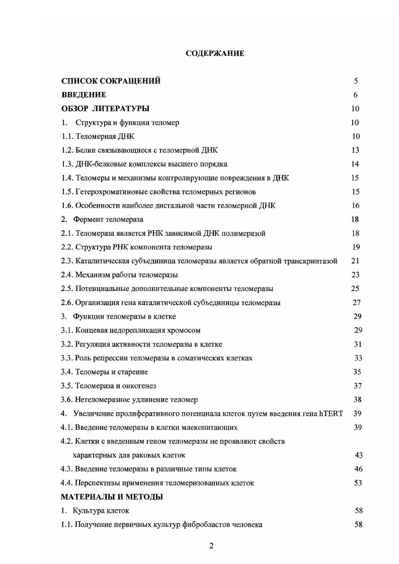 "1.2. Белки связывающиеся с теломерной ДНК 