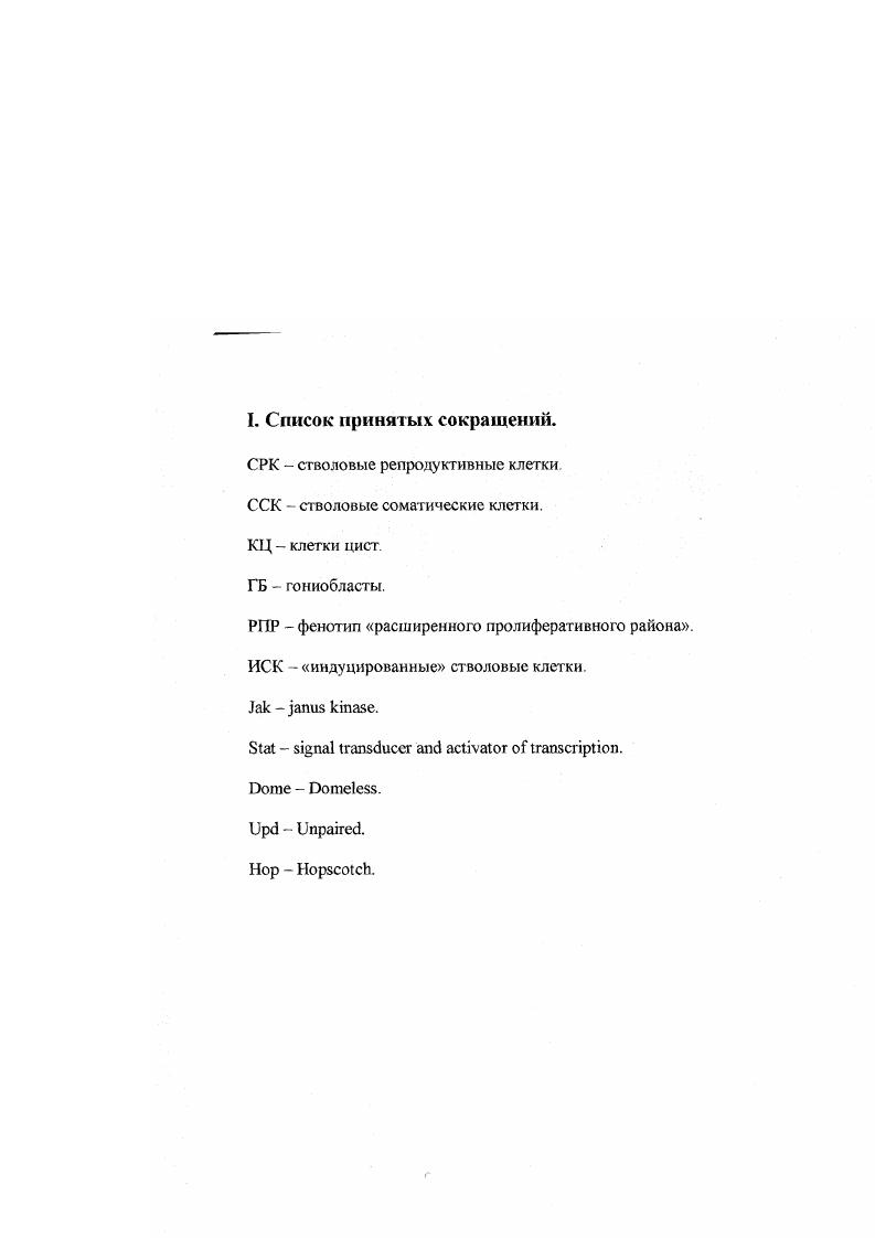 "Тем не менее, их объединяет одно общее свойство функциональная асимметричность делений, проявляющаяся в разной судьбе их клеточного потомства, часть которого специализируется, а часть наследует стволовые свойства, сохраняющиеся в популяциях клеток на протяжении жизни организма i, . Предполагается, что естесст венный баланс численности дифференцирующегося потомства и стволовых клеток, определяемый соотношением , может достигаться, как в результате дифференцировки одной из двух образующихся дочерних клеток при каждом делении материнской стволовой клетки инвариантная асимметрия, так и на уровне клеточной популяции, когда число предшественников специализирующихся клеток внутри популяции, сохраняющей стволовые свойства, остается равным примерно половине популяционная асимметрия , , i . Маркирование клеточных линий. В тканях, физиология которых связана с непрерывным обменом клеточного содержимого в ходе сменяющих друг друга циклов дифференцировки, каждый раз начинающихся с единого клеточного ствола, стволовые клетки можно обнаружить по их митотической активности и присутствию в ткани в течение длительного времени. Для этого в организм вводится молекулярная метка, которая накапливается делящимися клетками и либо передается их клеточному потомству постоянное маркирование, либо разбавляется при последующих делениях исходных меченных клеток временное маркирование. После чего наблюдают за распределением образующихся маркированных клеток в ткани через разные интервалы времени. Помимо стволовых клеток способностью к митотическим делениям часто обладают клетки, находящиеся на ранних этапах дифференцировки. Они, как правило, совершают несколько раундов митотической амплификации, тем самым увеличивая количество образующеюся при каждом делении сгволовых клеток специализированного клеточного потомства так называемая, стадия временной амплификации. Таким образом, для стволовых клеток характерна более низкая митотическая активность по сравнению с таковой временноамплифицирующихся клеток, по причине чего введенная в организм временная метка должна задерживаться стволовыми клетками. Одним из наиболее распространенных агентов, используемых при временном маркировании, является встраивающийся между основаниями ДНК бромидоуридин ii . Кроме него применяются также другие виды временных меток, например, Нтимидин i . Постоянное маркирование достигается в результате индукции генетических изменений в делящихся клетках организма, которые приводят к экспрессии определенных маркерных генов, например, i или гена бактериальной ргалактозидазы. В настоящее время нашли широкое применение гетерологичные системы индукции сайтспецифической рекомбинации, а именно, дрожжевая система рекомбинации i, и x система бактериофага I , , с помощью которых актнвируегся экспрессия генетических маркеров, поддерживаемая в клеточном потомстве исходной рекомбинировавшей клетки. Таким образом, сравнение результатов проведенного параллельно маркирования клеток одного и того же органа с помощью временной и постоянной меток позволяет получить ценную информацию, как о положении сгволовых клеток, так и о их биологической активности. В последние годы было приложено немало усилий для поиска молекулярных маркеров, экспрессия которых специфична для стволовых клеток того или иною органа и которые могут быть использованы при выделении популяций стволовых клеток из соответствующего органа , , v , , i, , i, . Для того, чтобы изучить свойства выделенных клеток их вводят в организм животноюреципиента, предварительно лишенного собственных стволовых и дифференцирующихся клеток, и наблюдают за способностью трансплантированных клеток восстанавливать клеточный состав поврежденных тканей. Подобные функциональные тесты были разработаны для нескольких органов млекопитающих, удаление клеток которых не приводит не приводит к быстрой гибели организма. Например, облучение мышей ионизирующей радиацией вызывает потерю гематопоэтических стволовых клеток, а также развивающихся предшественников миелоидной и лимфоидной линий i, , i, . 