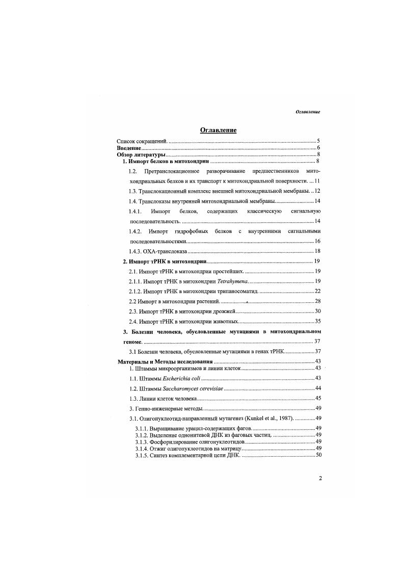 "1.3. Транслокационный комплекс внешней митохондриальной мембраны. 