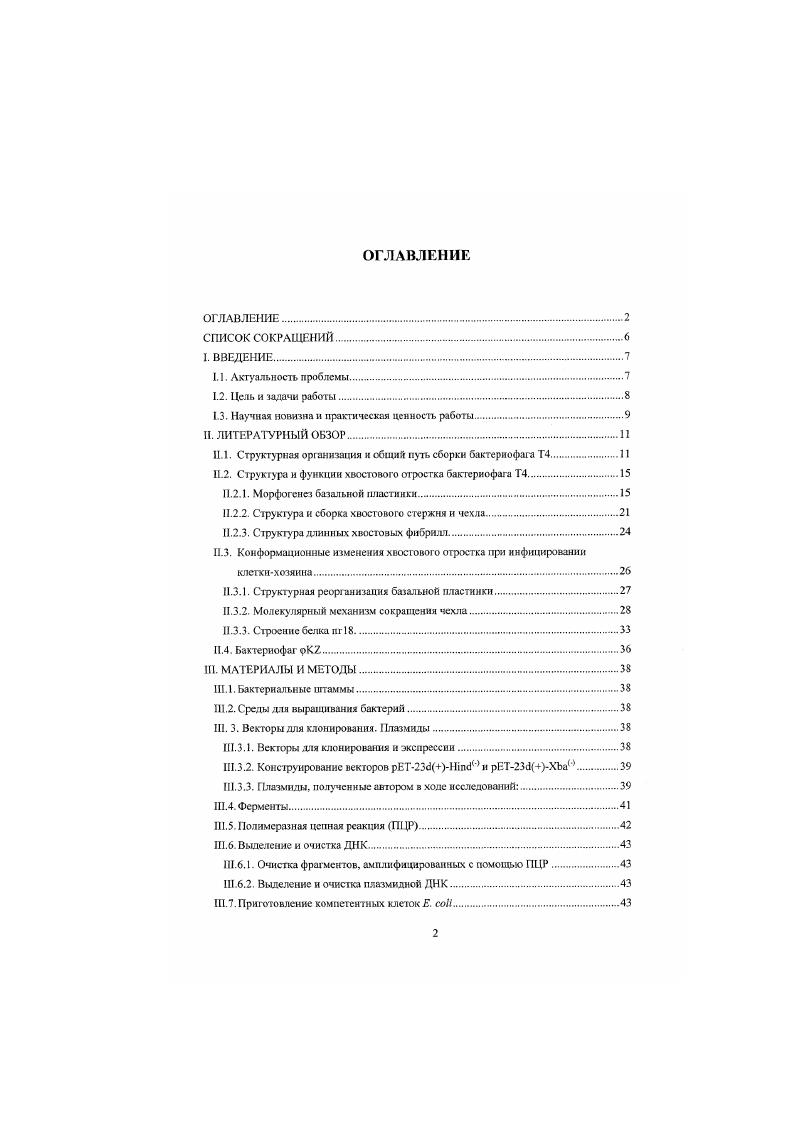 "Свойство к полимеризации существенно затрудняет изучение стру ктуры данного белка, что необходимо для понимания деталей молекулярного механизма сокращения чехла. Ранее была проведена серия физикохимических исследований пг, выделенного из чехлов частицы Т4, а также из поличехлов 8. Мономерная и различные полимерные формы пт были изучены методами химической модификации и юрментативного гидролиза . Установлено, что субъединицы пг8 в составе различных форм мономер, ноличехлы, несокращенный и сокращенный чехлы имеют ряд структурных отличий. При изучении структуры хвоста фага были применены методы электронной микроскопии, оптической дифракции и трехмерной реконструкции. В растянутом состоянии сократительный чехол бактериофага Т4 имеет длину 0 . А. внутренний диаметр А и состоит из 4 субъединиц пг, уложенных в диска. Толщина дисков составляет А. Одинаково ориентированные субъединицы повторяются через 7 дисков, г. В сокращенном состоянии длина чехла уменьшается до 0 А, внешний диаметр становится 0 А, а внутренний диаметр не изменяется. Толщина диска уменьшается до А, а угол смещения субъединиц увеличивается до . Период идентичности становится равен . В сокращенном состоянии контакты между субъединицами одною диска разрываются, расстояние между ними увеличивается. При этом образуется свободное пространство, в котором располагаются субъединицы вышележащего диска. В результате сокращения симметрия хвостового чехла становится псевдо ти кратной . Выявление областей молекулы, участвующих во взаимодействиях между субъединицами пг8, а также выяснение деталей пространственной структуры белка в различных состояниях важны для понимания механизмов конформационных перестроек белка, происходящих при его сборке и в процессе сокращения чехла. Детальное изучение молекулярного механизма сокращения хвостовою чехла Т4 и родственных бактериофагов необходимо для понимания функционирования других сложноорганизованных двигательных систем. Поэтому, наряду с изучением белка хвостовою чехла бактериофага Т4, мы также начали изучение хвостового чехла гигантского бактериофага i. Несмотря на то, что оба фага и Т4 являются представителями семейства vii, гомологии на уровне ДНК и аминокислотных последовательностей между этими вирусами не наблюдается . Целью настоящей работы явилась идентификация функциональных областей ш с помощью генетической и белковой инженерии, а также конструирование мутантов пг, пршодных для кристашшзации н определения его структуры. Помимо данных задач, мы с помощью вьгсокоразрешакмцей крноэлекгронной микроскопии и пространственной реконструкции изучили также структуру хвостового чехла гигантского бактериофага , инфицирующею патогенные штаммы i. На основе данных криоэлектронной микроскопии выполнить трехмерную реконструкцию хвостового чехла бактериофага рК в растянутом и в сокращенном состояниях. Впервые исследования хвостового чехла бактериофага Т4 проведены на рекомбинантном белке. Для исследования был применен подход, основанный на получении генноинженерным методом полноразмерною пг, сто делеционкых фрагментов, а также мутантов с делениями внутри молекулы белка. Впервые показано, что нскошрые делеционные варианты формируют в растворе новый тип полимерных структур несокращенные иоличехлы НСП. Были идентифицированы участки молекулы пг. Впервые получены мутанты пг, не формирующие поличехлов, подобраны условия для их кристаллизации, что. Показана возхюжность создания гибридных молекул на бате делеционных фрагментов пт и участка белка 1 i i. Выполнена трехмерная реконструкция хвостового чехла гигантского бактериофага о К7. Данная экспериментальная работа нежит фундаментальный характер, выполнена по открытому плану научноисследовательских работ Института Биоорганической химии им. ММ. ШсмякинаЮ. А. Овчинникова РАН и поддержана грантами РФФИ и Медицинского института Говарда Хьюза. Идентификация областей пг Т4, важных для фолдинга и полимеризации, получение мутантов, способных образовывать различные типы структур, позволила получить болос полное представление о взаимодействии субьсднниц чехла бактериофага Т4 и механизмах сю сокращения. 