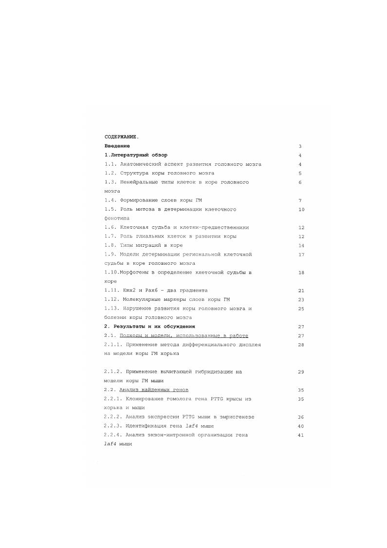 "1.1. Анатомический аспект развития головного мозга 