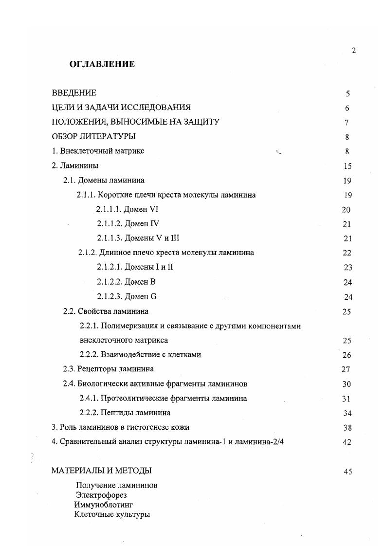 "2.1.1. Короткие плечи креста молекулы ламинина 