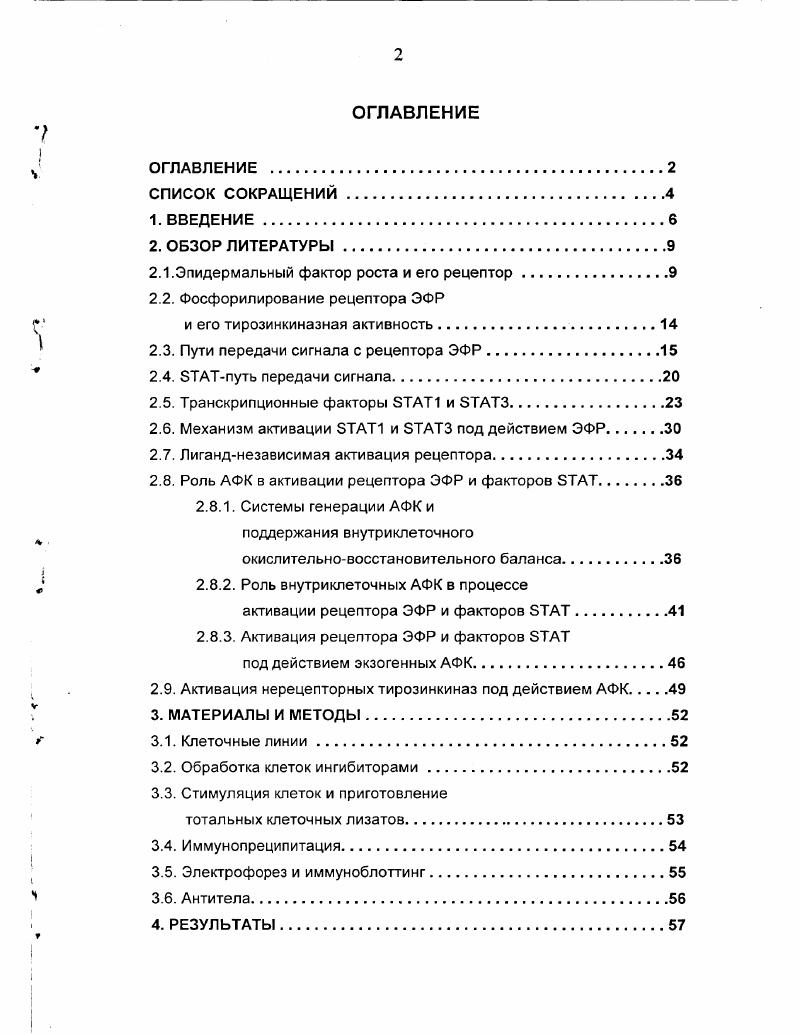 "2.1.Эпидермальный фактор роста и его рецептор.