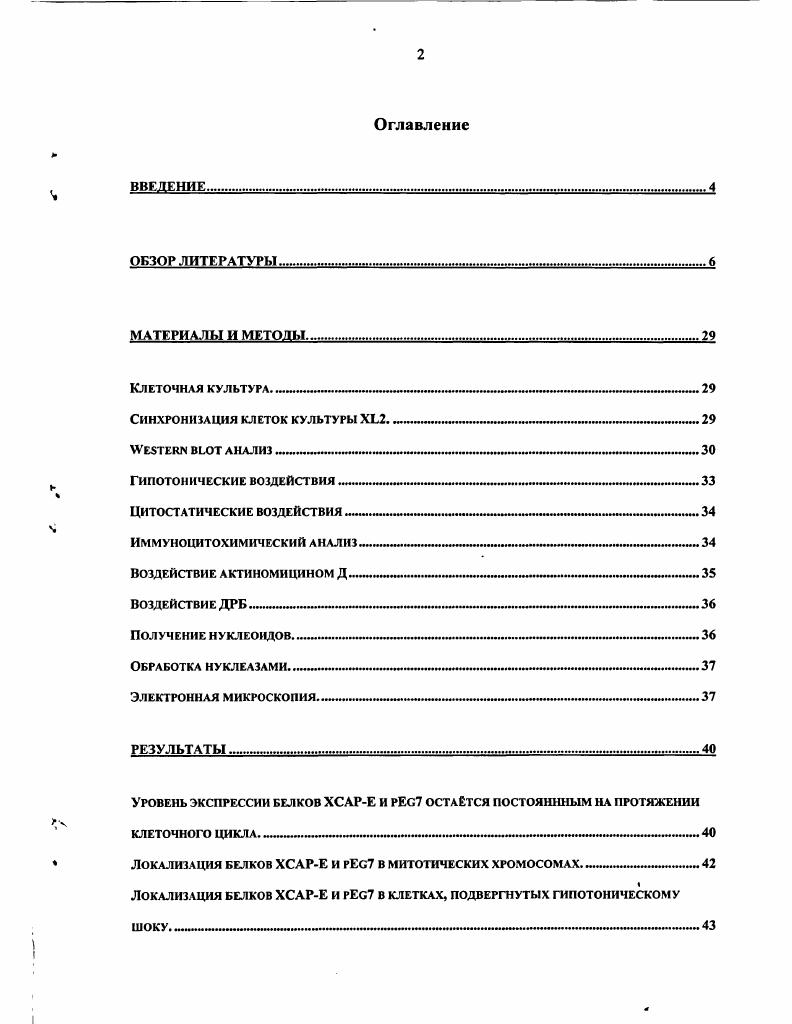 "Синхронизация клеток культуры X2   мимчмчмммичмммм1х 
