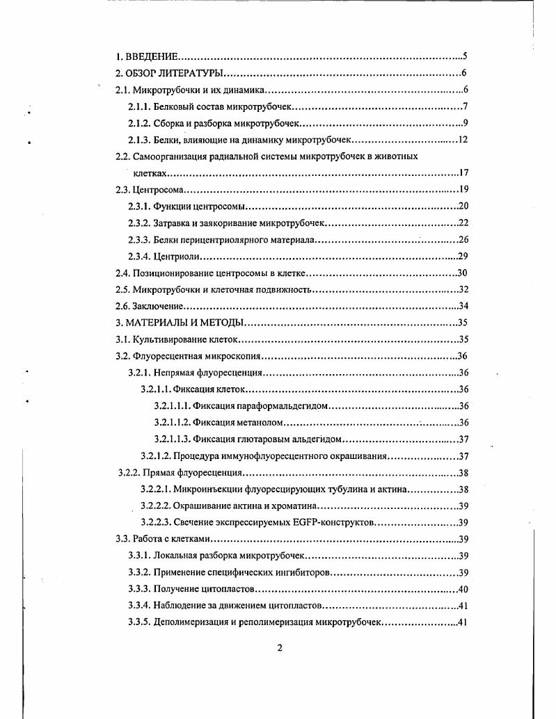 "Ещ в ранних исследованиях было отмечено, что концы микротрубочки неравнозначны и конец с меньшей константой диссоциации тубулина был назван плюсконцом, а с большей минусконцом. С помощью антител к различным пептидам тубулина было установлено, что на минусконце находится атубулиновая субъединица, а на плюсконце тубулиновая , . Разница в константе ассоциации тубулина с минус и плюсконцами микротрубочки и участие ГТФазы тубулина во взаимодействии молекул тубулина создат своеобразие и сложность поведения микротрубочек i vi и i viv. Микротрубочки i viv находятся в динамическом равновесии со свободным тубулином клеток. I vi микротрубочки полимсризуются в растворах тубулина, и система также приходит к динамическому равновесию, характеризующемуся соотношением микротрубочки растворенный тубулин и средней длиной микротрубочек. Характер обмена тубулина в микротрубочках зависит от концентрации свободного тубулина. В больших концентрациях тубулина возможно нарастание микротрубочки с обоих концов, что реализуется, вероятно, при начале сборки микротрубочки i vi. Существует интервал концентраций тубулина, в котором на плюсконце микротрубочки идт в основном присоединение субъединиц, а на минусконце в основном отсоединение. При этом должно наблюдаться псевдопередвижение микротрубочек тредмиллинг, когда каждая точка микротрубочки неподвижна, но сама микротрубочка передвигается в направлении своего плюсконца. Английское слово ii в словарях переводится русским словом топчак и означает хождение лошади по кругу при производстве, например, молотьбы хлеба или при откачке воды из шахты. Реальное существование тредмиллинга микротрубочек было показано сначала i vi i i, , затем и i viv iv i, при прижизненных наблюдениях микротрубочек в клетках, инъецированных флуоресцентно меченым тубулином. Тредмиллинг оказывается, таким образом, естественным состоянием микротрубочки после достижения равновесия системы в концентрации тубулина, существующей i viv. При более низкой концентрации свободного тубулина наблюдается так называемая динамическая нестабильность микротрубочек периодическая сборка и разборка, происходящие на плюсконце. Нарастание плюсконцов микротрубочки, сменяющееся через секунд их укорочением, а затем вновь нарастанием, является основным способом обмена микротрубочек практически во всех исследованных клетках, имеющих центросому например, , . Минусконец большинства микротрубочек при этом закреплн на центросоме, что, вероятно, и снижает равновесную концентрацию тубулина в системе по сравнению с системой с двумя свободными концами микротрубочки поскольку константа связывания тубулина на плюсконце микротрубочки больше, чем минусконце. Минусконец свободных микротрубочек в клетках, имеющих центросому, почти постоянно находится в состоянии разборки. Часто в клетках можно наблюдать тредмиллинг отдельных свободных микротрубочек, сменяющийся через некоторое время их разборкой с обоих концов и исчезновением Vv , , . Это показывает, что тредмиллинг и динамическая нестабильность могут существовать в одной системе и вопрос состоит только в том, насколько плюсконец микротрубочки в тех или иных условиях оказывается способным к разборке. На конце растущих микротрубочек i viv и i vi образуется слой молекул тубулина, ещ не успевшего гидролизовать ГТФ, поскольку скорость гидролиза ГТФ тубулином меньше, чем скорость его встраивания в мнкротрубочку. Такой ГГФколпачок стабилизирует микротрубочку, причм для этого достаточно слоя ГТФтубулина толщиной в одну молекулу , . При динамической нестабильности разборка микротрубочки так называемая катастрофа начинается, если весь тубулин на плюсконце микротрубочки в силу случайного недостаточного поступления новых молекул ГТФтубулина оказывается в форме ГДФтубулина. При разборке микротрубочки ситуация обратная поскольку встраивание ГТФтубулина в микротрубочку не прекращено, может образоваться ГТФколпачок и микротрубочка перейдт к росту произойдт так называемое спасение. Между сборкой и разборкой микротрубочки существует также промежуточное состояние покоя . 
