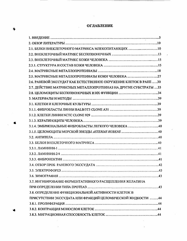 "Поскольку они очень эффективно восстанавливают различные ткани и органы по сравнению с высшими позвоночными, интересно было сравнить биоактивные вещества, присутствующие в микроокружении клеток в обоих случаях. Возможно, эти вещества могут быть выделены для изучения, а впоследствии использованы для стимулирования процессов регенерации у позвоночных. Поэтому работа была посвящена сравнительному изучению факторов, управляющих ключевыми процессами восстановления тканей. Задачей данной работы было установить сходство этих процессов для млекопитающих и морских беспозвоночных. В ранах присутствуют экссудаты, то есть объекты, в которых могут накапливаться биоактивные вещества. В наших случаях это могут быть экссудаты человека и целомическая жидкость морских беспозвоночных. Эти животные отличаются высокой скоростью регенерации тканей, а соответственно выше и динамика изменений белкового состава и реакций клеток. Если присутствие белков ВКМ в тканях беспозвоночных уже подтверждено, у различных представителен морских беспозвоночных найдены белки, подобные белкам ВКМ позвоночных, то процессы ремоделирования матрикса при заживлении ран практически не изучены. Несмотря на то, что процесс регенерации тканей у беспозвоночных изучается уже давно, наличие ММГ1, а тем более их участие в этом процессе у беспозвоночных до сих пор практически не изучалось. В связи с этим в представленной работе была предпринята попытка сравнительного изучения состава и функциональной активности этих ферментов у беспозвоночных и млекопитающих, в частности, человека. Если повреждение кожи неглубокое, то рана заживает самостоятельно. Если рана слишком обширна и клетки не способны закрывать ее при миграции,, то для ускорения регенерации ткани может быть необходимо внесение клеточных трансплантатов для обеспечения достаточного количества клеток. При очень глубоких повреждениях, захватывающих дерму, необходимо образование ткани дермы, что может быть затруднительно изза отсутствия в ране клеток, синтезирующих белки ВКМ. В этих случаях также необходимо внесение в рану дополнительных белков ВКМ, входящих в состав дермы иили клеток, синтезирующих эти белки. В более ранних работах рассматривалось внесение в раневое окружение белков ВКМ и влияние, оказываемое этими белками на процесс регенерации ткани Блинова и др. Горелик, . Изучалось также внесение в рану клеток для обеспечения более эффективной регенерации ткани Блинова и др. При этом практически не изучалось изменение состояния белков ВКМ и клеток в этом окружении. В КМ состоит из нескольких различных типов белков, осуществляющих многие функции. Некоторые белки, такие как эластин и многие типы коллагена, находятся в виде больших нерастворимых, устойчивых к протеазам молекул и придают жесткость и стабильность тканям. Некоторые гликопротеины матрикса, такие как ламинины, фибронсктин, тромбоспондины, фибриллины, энтакгин и другие, образуют агрегаты с различной степенью сложности, обеспечивая субстрат для адгезии клеток и они важны для многочисленных белокбелковых взаимодействий. Протеогликаны участвуют в гидратации ткани. К тому же молекулы В КМ могут быть организованы в специализированные структуры, такие как базальные мембраны, то есть матрикс, на котором располагаются эпителиальные и эндотелиальные клетки. Почти все белки матрикса играют определенную роль в изменении функций и поведения клеток. Коллагены составляют семейство гликопротеинов с тройной спиралью. Существует три основных класса коллагенов, составляющих ВКМ фибриллярные коллагены типы I, II, III, V, XI, обладающие непрерывной спиралью коллагены базальной мембраны типа IV фибриллярные коллагены с дискретной спиралью типы VI, VII и нефибрилпярные коллагены типы VIII XVIII. Основной характеристикой фибриллярных коллагенов является способность мономерных молекул полимсризоваться и образовывать длинные волокна i , . Эти фибриллярные коллагены составляют основу соединительной ткани, нормальная кожа содержит коллагена типа I и коллагена типа III i, . При репарации ткани на месте повреждения во время образования матрикса грануляционной ткани происходит повышение уровня синтеза коллагенов типа III, V, VI относительно коллагена I типа. 