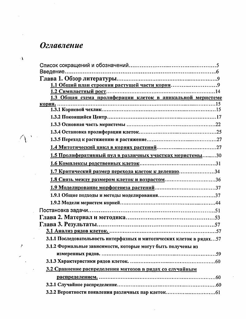 "1.1 Общий план строения растущей части корня.