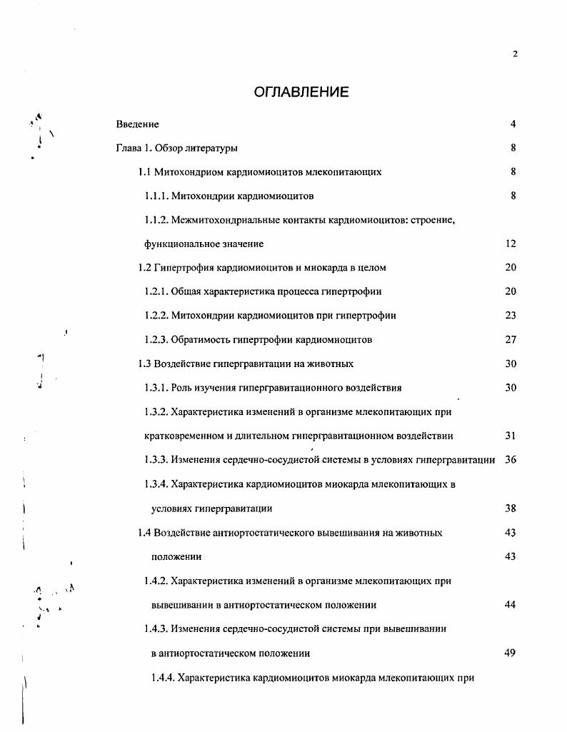 "1.1 Митохондриом карлиомиоцитов млекопитающих