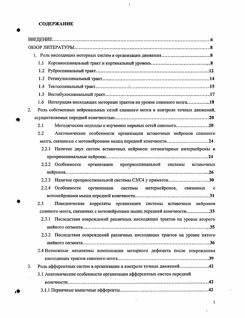 "Изучение активности кортикоспинальных нейронов показало, что кортикоспинальный тракт активно задействован во время обучения новым точным произвольным движениям. Когда животное осуществляло четко отработанные движения, активность кортикоспинального тракта была значительно меньше i, . Руброспинальный тракт начинается из красного ядра среднего мозга. Красное ядро у млекопитающих отчетливо разделяется на ростральную мелкоклеточную и каудальную крупноклеточную части i, , . Большая часть волокон начинается из крупноклеточной части , . Часть волокон руброспинального тракта начинается и из рострального отдела ядра, создавая в составе руброспинального тракта значительную фракцию тонких волокон. У человека руброспинальный тракт состоит преимущественно из аксонов мелких клеток ростральной части ядра, которая у него наиболее развита Костюк, Костюк, Пилявский, . Образующие тракт клетки организованы по соматотопическому принципу вентролатеральная их группа посылает аксоны в люмбосакральные отделы спинного мозга, медиодорсальная проецируется в шейный, а промежуточная в грудной его отделы Костюк, i, i, . Такая соматотопическая организация эфферентных проекций согласуется с организацией входов к красному ядру. Соматотопическую организацию имеют церебеллорубральные и кортикорубральные связи. Кортикорубрапьные волокна, которые начинаются из проекционной зоны передней конечности, заканчиваются соответственно в дорсомедиальной части красного ядра, а те, которые идут из проекционной зоны задней конечности, в вентролатеральной его части ivi, , . Представительство дистальной мускулатуры конечности занимает намного большую часть, чем представительство проксимальной мускулатуры конечностей и мускулатуры туловища Фанарджян, Саркисян, . Кроме спинного мозга, значительная часть аксонов нейронов красного ядра направляется в мозжечок и ретикулярную формацию Костюк, . Претсрминапи руброслинальных волокон обнаруживаются на всем протяжении спинного мозга, располагаясь в его сером веществе в основании дорсального рога вентральне области локализации претерминалей волокон кортикоспинального тракта. Аксоны клеток руброспинального тракта заканчиваются главным образом в латеральных частях основания дорсального рога, захватывая VVIVII пластины и имея наибольшую плотность в VII пластине , i, ПилявскиЙ, Скибо, . Основное влияние руброспннальный тракт производит на мотонейроны мышц дистальной мускулатуры конечности Шаповалов, Арушанян, Шаповалов, Грантынь, , i , v , , . Таким образом, области окончания кортикоспинального и руброспинтьного трактов в некоторой степени перекрываются, однако все же участки преимущественного расположения претерминалей каждой из них могут быть довольно четко разделены. Остается спорным вопрос о возможности окончания руброспинальных волокон непосредственно на мотонейронах спинного мозга i, . Так первые работы показали остутствие претерминалей руброспинальной системы у кошки в области моторных ядер IX пластина по Рекседу, а также в дорсальных пластинах, соответствующих желатинозной субстанции , i, i, , . Однако в некоторых работах показана возможность наличия моносинаптичсских проекций нейронов красного ядра на мотонейроны спинного мозга , , . Вероятно, руброспннальный тракт имеет проекции на мотонейроны спинного мозга, однако количество данных связей относительно небольшое. В функциональном плане руброспннальный тракт схож с кортикоспинальным трактом , . Он связан с контролем таких параметров движения как скорость , , , , сила , , , Vii, и направление , . Повреждения руброспинального тракта приводит к нарушениям связаным с осуществлением точных произвольных движений и в частности движений пальцев , , , . Однако, руброспннальный тракт обладает рядом существенных отличий от кортикоспинального тракта. Нарушения точных движений после повреждения руброспинального тракта относительно быстро восстанавливаются и процессы компенсации идут быстрее, чем после повреждения пирамидного тракта , . Измерение пиковой частоты разрядов нейронов во время движения показало, что в среднем пиковая частота разряда кортикоспинального нейрона составляет 0 имп. 
