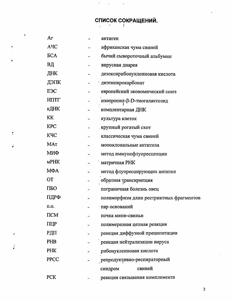 "КК культура клеток