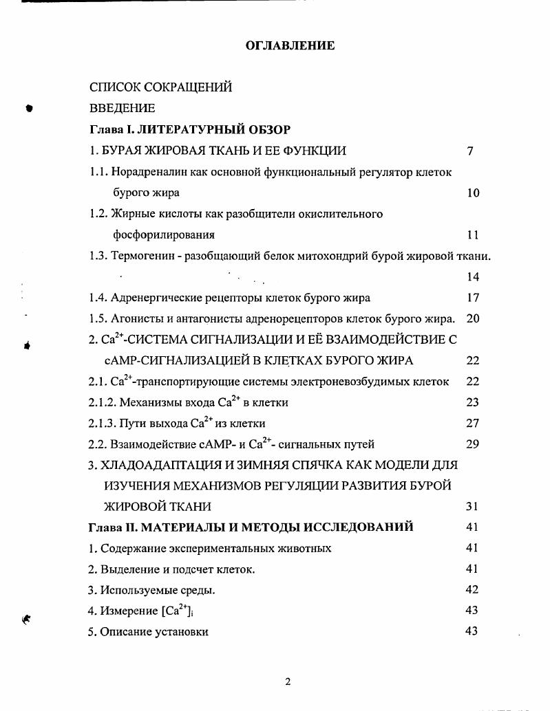 "1. БУРАЯ ЖИРОВАЯ ТКАНЬ И ЕЕ ФУНКЦИИ 