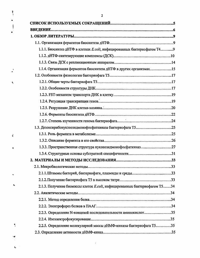 "1.1. Организация ферментов биосинтеза дНТФ.