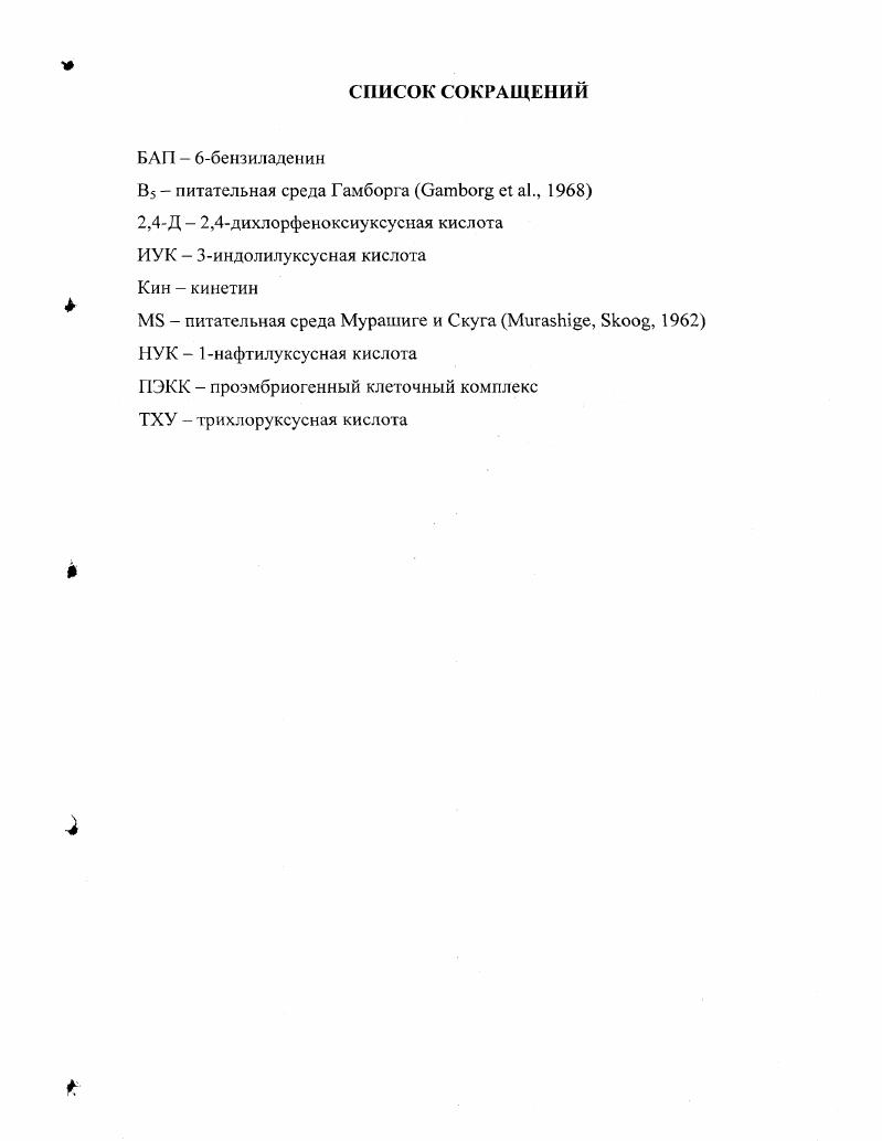 "1.1. Морфогенез в культуре клеток i vi 