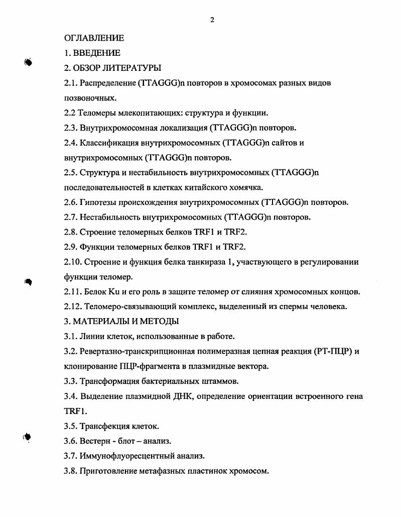 "Недавно был открыт один из специальных механизмов защиты теломер млекопитающих. Ключевую роль в этой защите играют теломерные белки 1 и 2, которые связываются с терминальными повторами и формируют двунитевую петлю ДНК называемую Тпетлей, размером 2 п. Эта петля защищает ДНК от негомологического воссоединения концов НВК и от слияния теломер обзор , . Белок 1 был изначально идентифицирован как теломерный белок, связывающийся с повторами . Другой, почти идентичный ему белок, был выделен как регуляторный фактор клеточного цикла i2 . Оба эти белка, по всей видимости, представляют собой продукты альтернативного сплайсинга одного и того же гена ii , . Значимость обнаруженной инсерции в аминокислот в 1 не установлена, так два эти белка неразличимы по локализации и способам функционирования . У человека 1i2 непосредственно фосфорилируется киназой по серину в положении 9, i vi и i viv ii . Это позволяет предположить, что АТМзависимое фосфорилирование 1 может подавлять слияние теломер. Функция 1 регулируется белком I2 i . I2 увеличивает 1зависимое спаривание теломерных повторов. Кроме того, I2 является негативным регулятором длины теломер i , . Сверхэкспрессия 1 вызывает элонгацию теломер i , . Белок 1 способен индуцировать латеральное спаривание повторов i vi ii . Другим белком, связывающимся с повторами , является белок 2 i . Кроме того, 2 выполняет уникальную функцию стабилизирует У выступающий однонитевой конец ДНК и предотвращает тем самым слияние концов теломер v . Белок 2 непосредственно связывается с тандемной областью удвоенных повторов . Помимо этого, он связывается с ДНК в основании Т петли в том сайте, где нить внедряется в двунитевую спираль ДНК, и тем самым поддерживает образование и стабилизацию Тпетли обзор i, . Было показано, что 2 привлекает в теломеры человека белок . Этот белок гомологичен дрожжевому белку 1 и его сверхэкспрессия приводит к удлинению теломер i . Этот комплекс, образованный белками , и 1, является ключевым компонентом как процесса гомологической рекомбинации ГР, так и негомологического воссоединения концов. Известно, что у дрожжей удаление этого комплекса приводит к укорачиванию теломер . Xi v, . Изучение мышей, дефицитных по белку и ДНКпротеинкиназе показало, что эти белки также играют существенную роль в функционировании теломер млекопитающих i . Суммируя вышесказанное, можно сказать, что стабильность теломер обеспечивается большим и сложным комплексом белков и что два из них 1 и 2, являются основными факторами сиквенсспецифического контроля теломер в соматических клетках млекопитающих. Другие сиквенсспецифические белковые комплексы, связывающиеся с повторами , были выявлены в сперме млекопитающих . Помимо теломерной локализации, была показана и внутрихромосомная локализация последовательностей , большие блоки которых в перицентромерных и внутрихромосомных областях хромосом были обнаружены у изученных видов позвоночных . Эти внутрихромосомные последовательности у китайского хомячка, например, составляют около 5 всего генома . Недавно сообщалось, что кроме обширных и протяженных участков повторов у китайского хомячка КХ существуют также короткие внутрихромосомные последовательности ВТП, вкрапленные в АТбогатые участки ДНК и ретропозоны vi . Поскольку, как известно, АТбогатые последовательности ДНК нестабильны и характеризуют некоторые, так называемые фрагильные сайты у млекопитающих, было высказано предположение, что ВТП были вставлены в эти сайты в процессе репарации двунитевых разрывов vi . Хромосомные области, содержащие последовательности, как известно, являются горячими точками хромосомных перестроек, как индуцированных облучением, так и спонтанных, в культивируемых клетках v . Известно также, что внедрение повторов в гены млекопитающих ведет к частым хромосомным перестройкам, включающим эти повторы i . Причины повышенной нестабильности в последовательностях неясны, но китайский хомячок и другие виды содержат ВТП в своих хромосомах на протяжении миллионов лет, что свидетельствует о наличие защиты этих блоков от хромосомных перестроек в норме. 