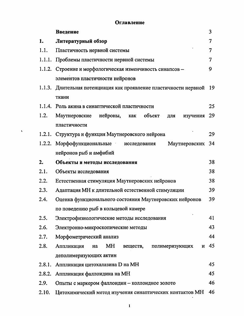 "Длительная потенциация как проявление пластичности нервной ткани